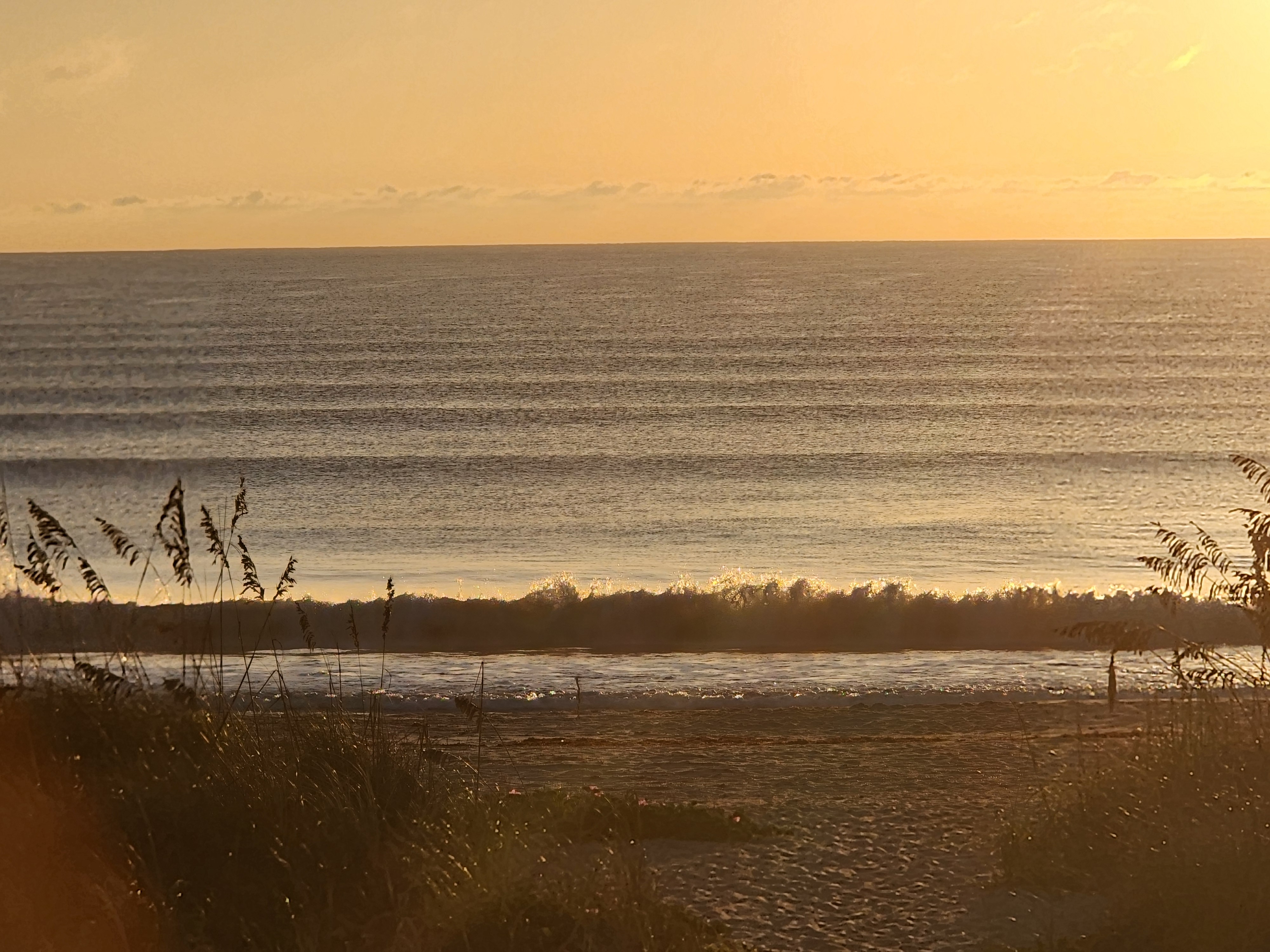 Backlit wave breaking in a line of sparkling gold whitewater on the incoming tide, sea oats framing the view, South Cocoa Beach, September 2026