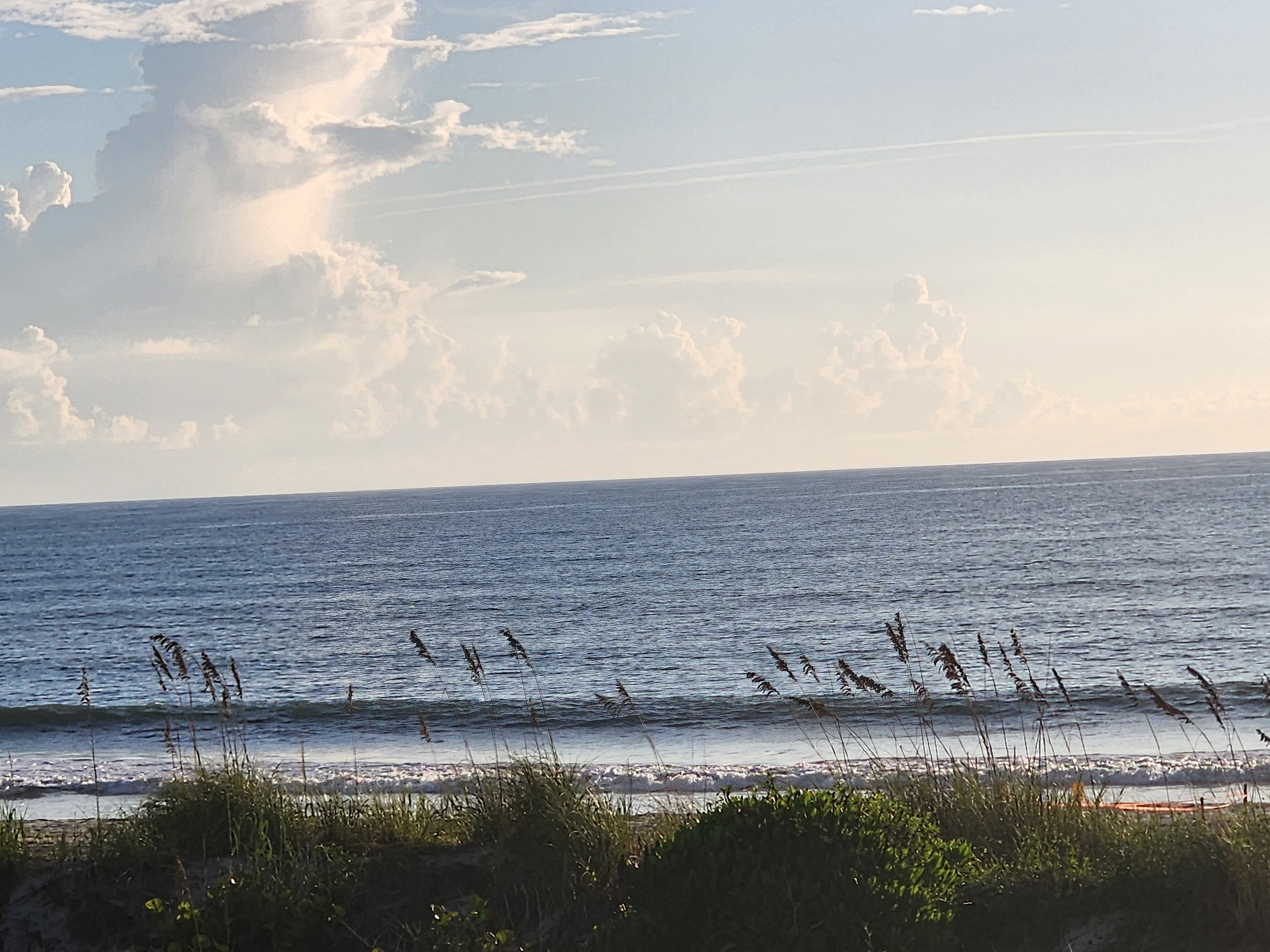 A thin line of swell and shorebreak whitewater under building afternoon-style clouds, seen through the sea oats at Picnic Tables, South Cocoa Beach