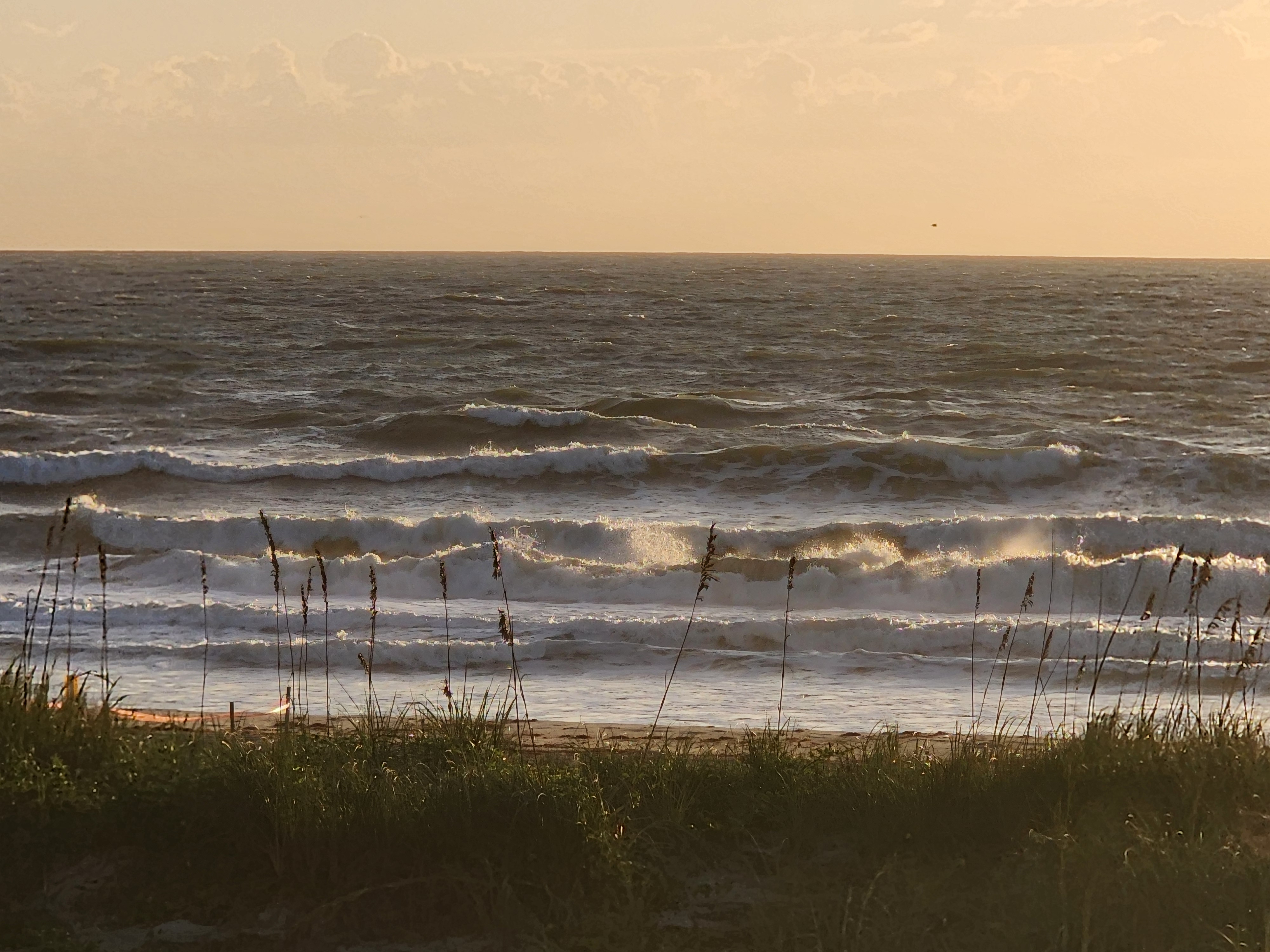 Golden sunrise light backlighting spray off 3-5 ft windblown waves at Cocoa Beach, sea oats silhouetted and turtle nest tape on the sand