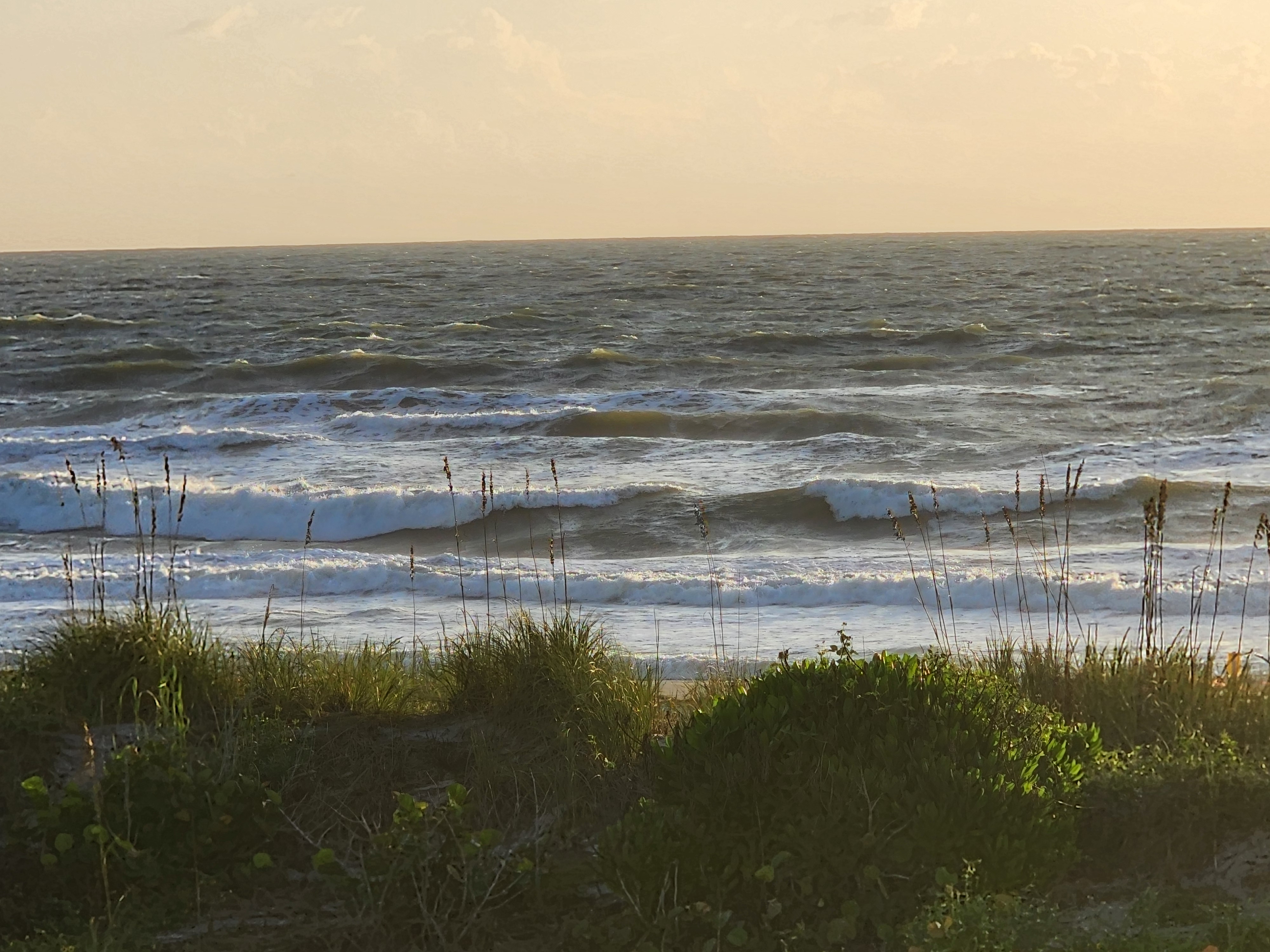 Warm morning light on stacked lines of choppy surf at South Cocoa Beach, sea oats and sea grapes on the dune in the foreground