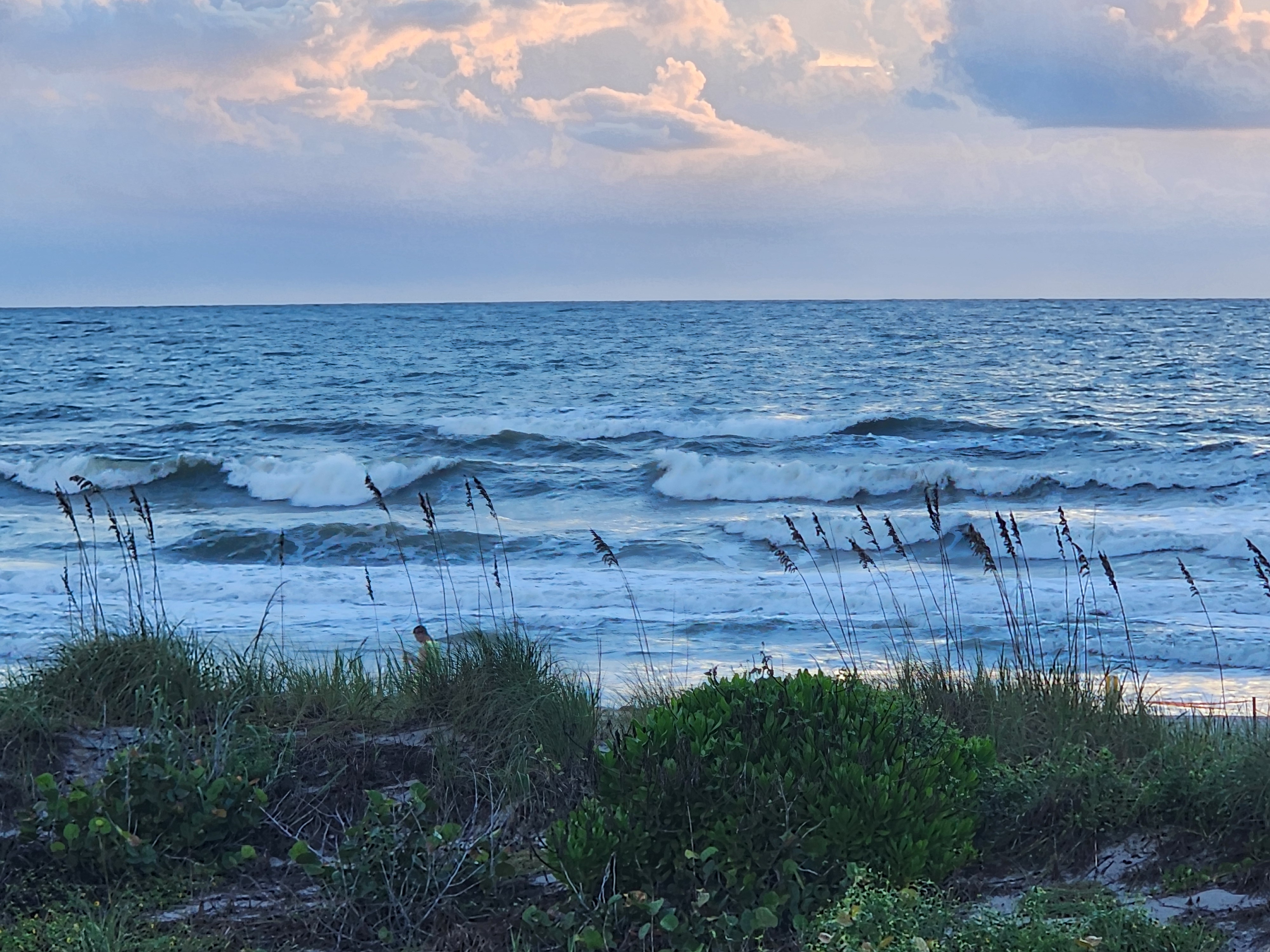 Lines of windblown swell pushing toward the beach through the sea oats and dune grass at 32nd Street, South Cocoa Beach