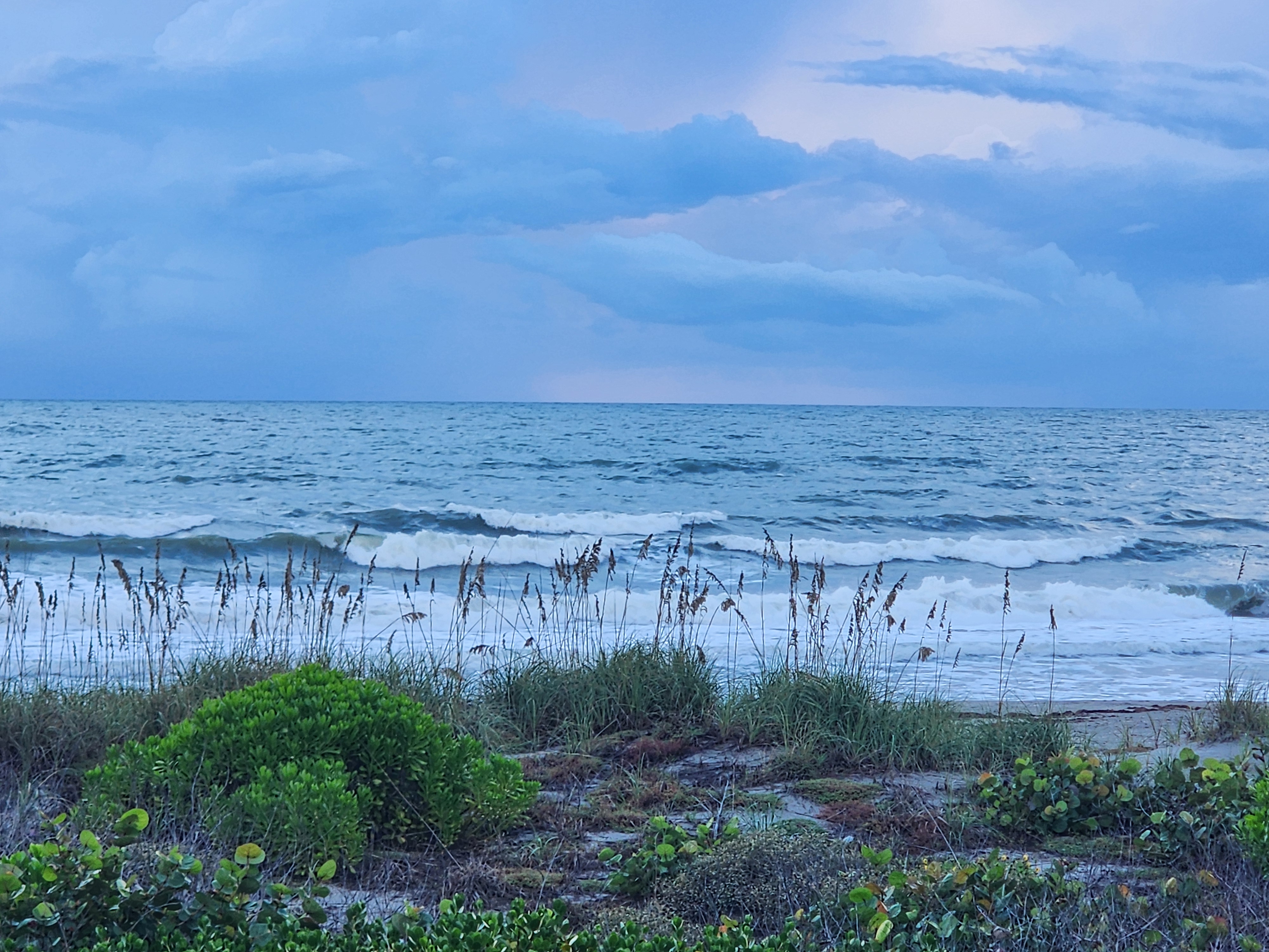 Sea oats and sea grape in the foreground with textured chest-high surf breaking down the beach under blue morning light, South Cocoa Beach