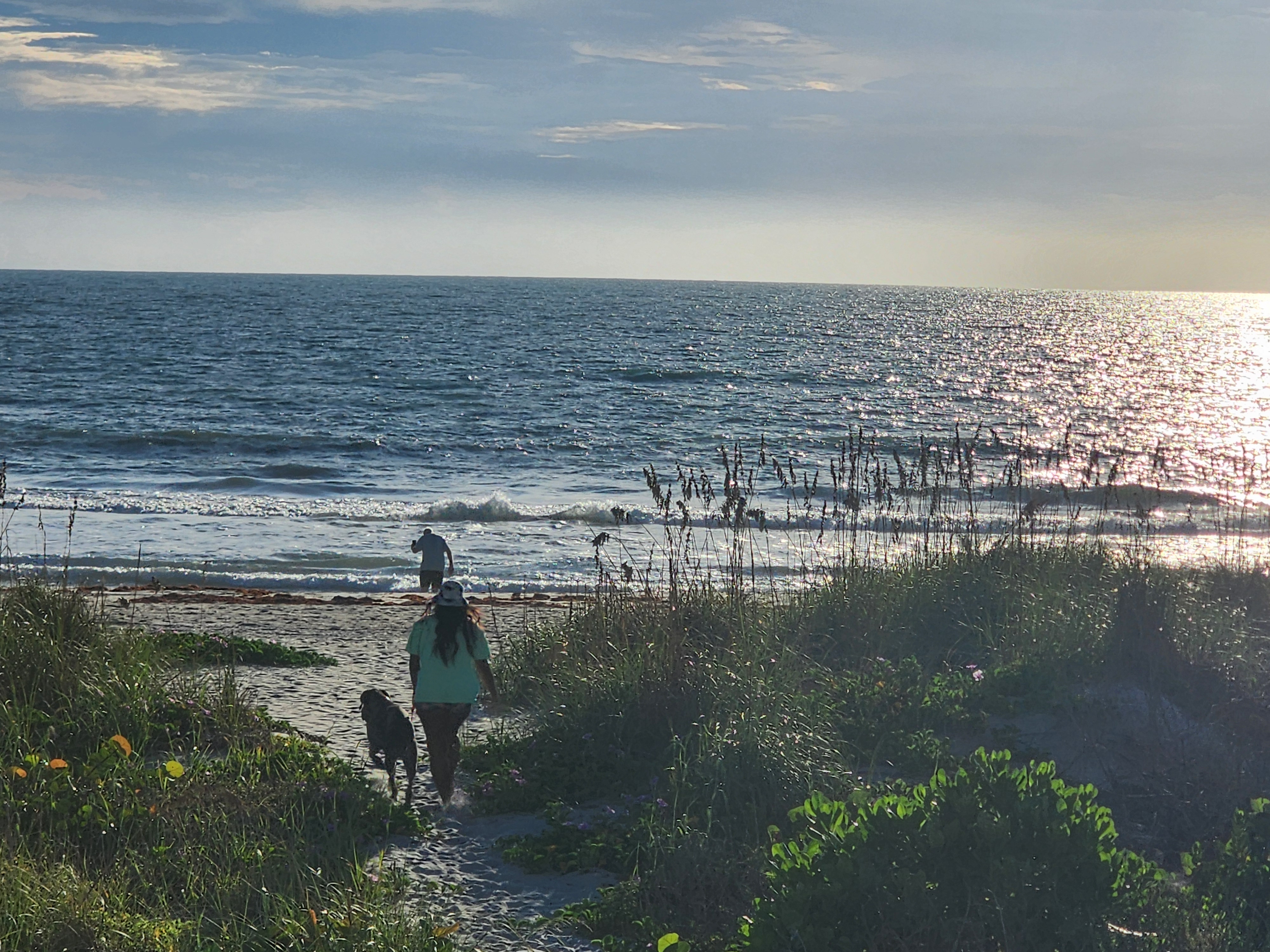A walker in a teal shirt and hat heading down the dune crossover to the sand with Athena the surf dog, morning sun sparkling off the Atlantic and a man filming the shorebreak at Picnic Tables, South Cocoa Beach