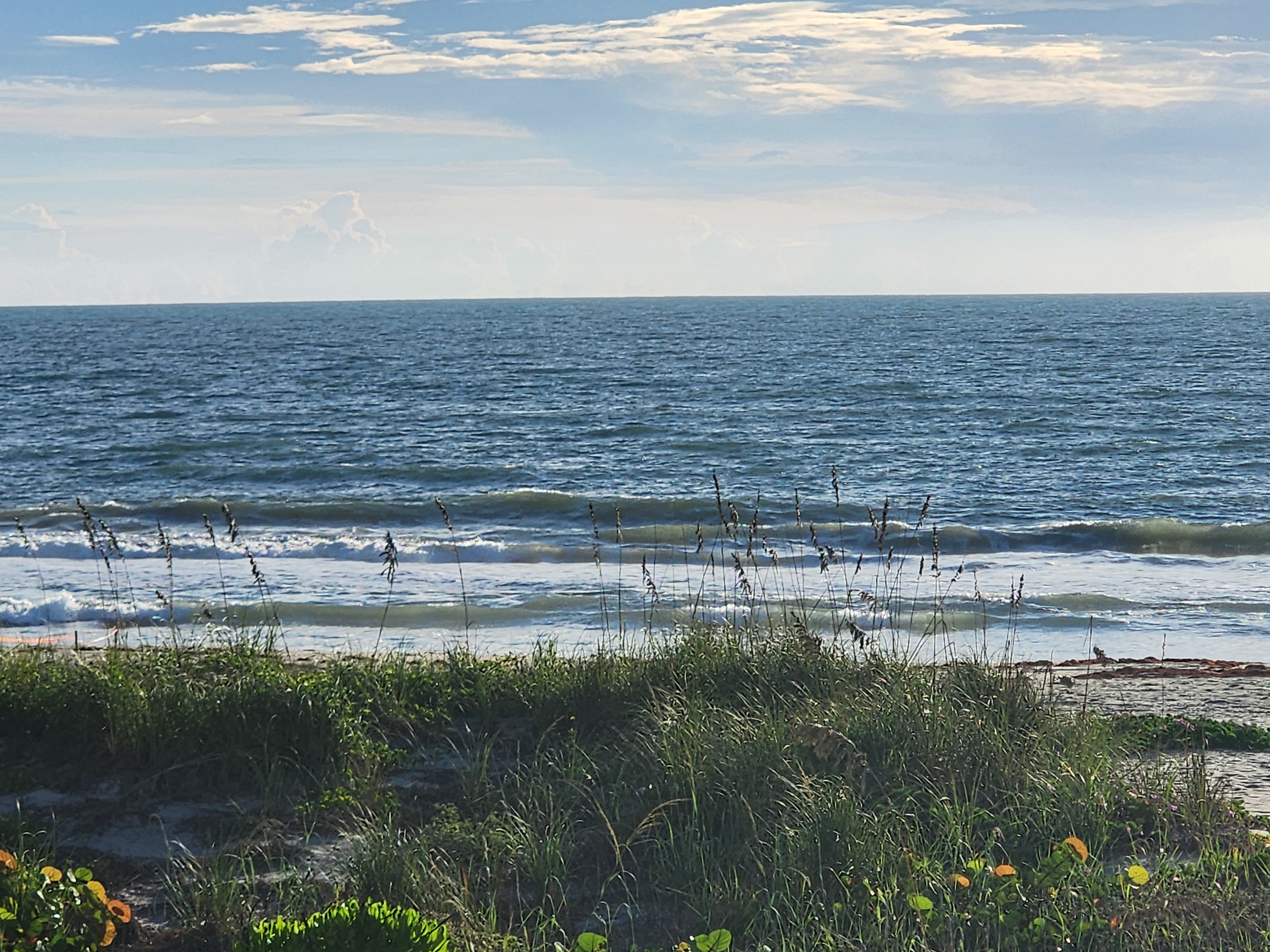 Small one to two foot lines crumbling in on the low tide, sea oats and morning glory in the foreground at 32nd Street, South Cocoa Beach