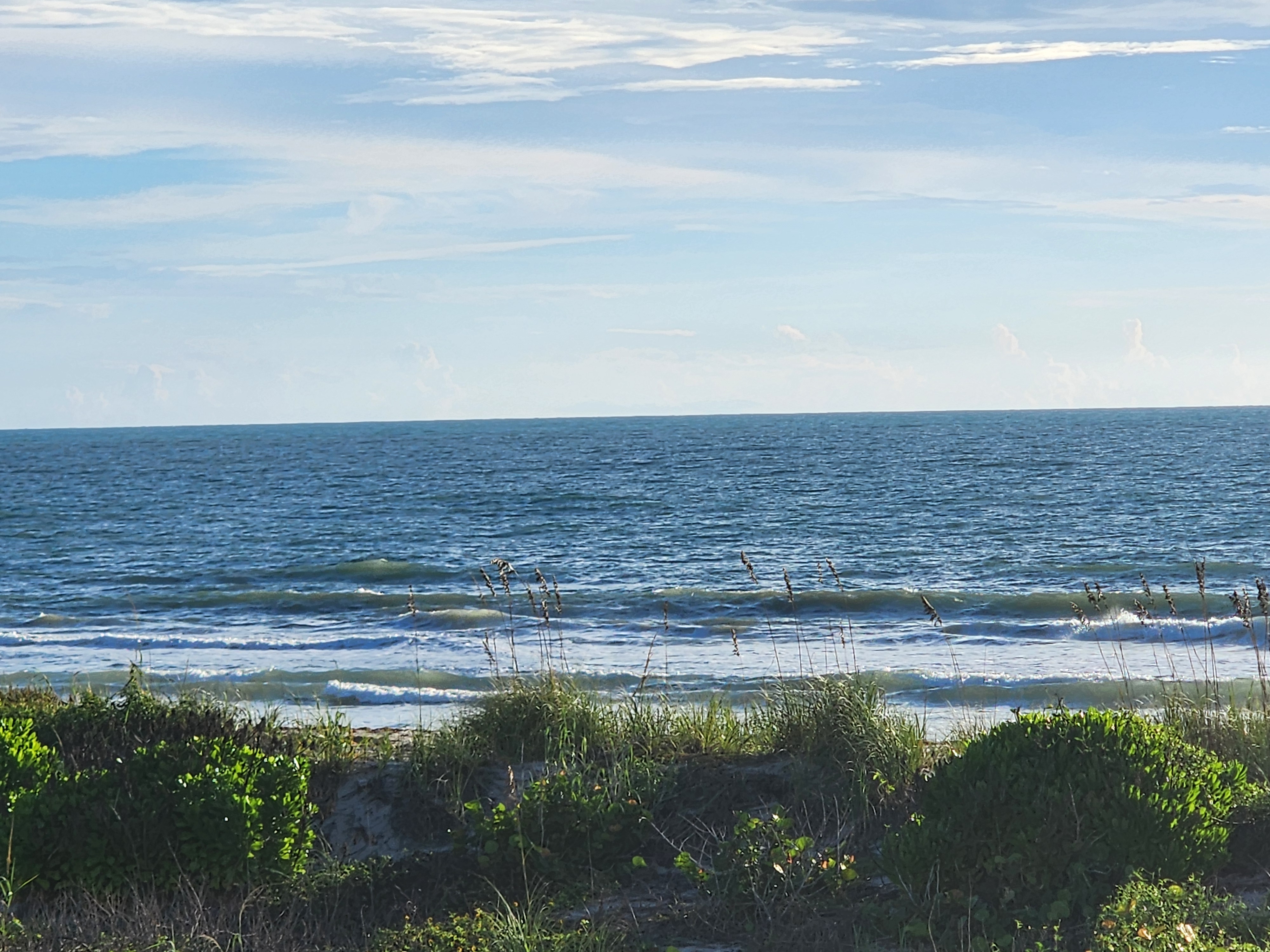 Wide view of a soft blue morning ocean with a few weak lines breaking, dune vegetation across the bottom of the frame, South Cocoa Beach