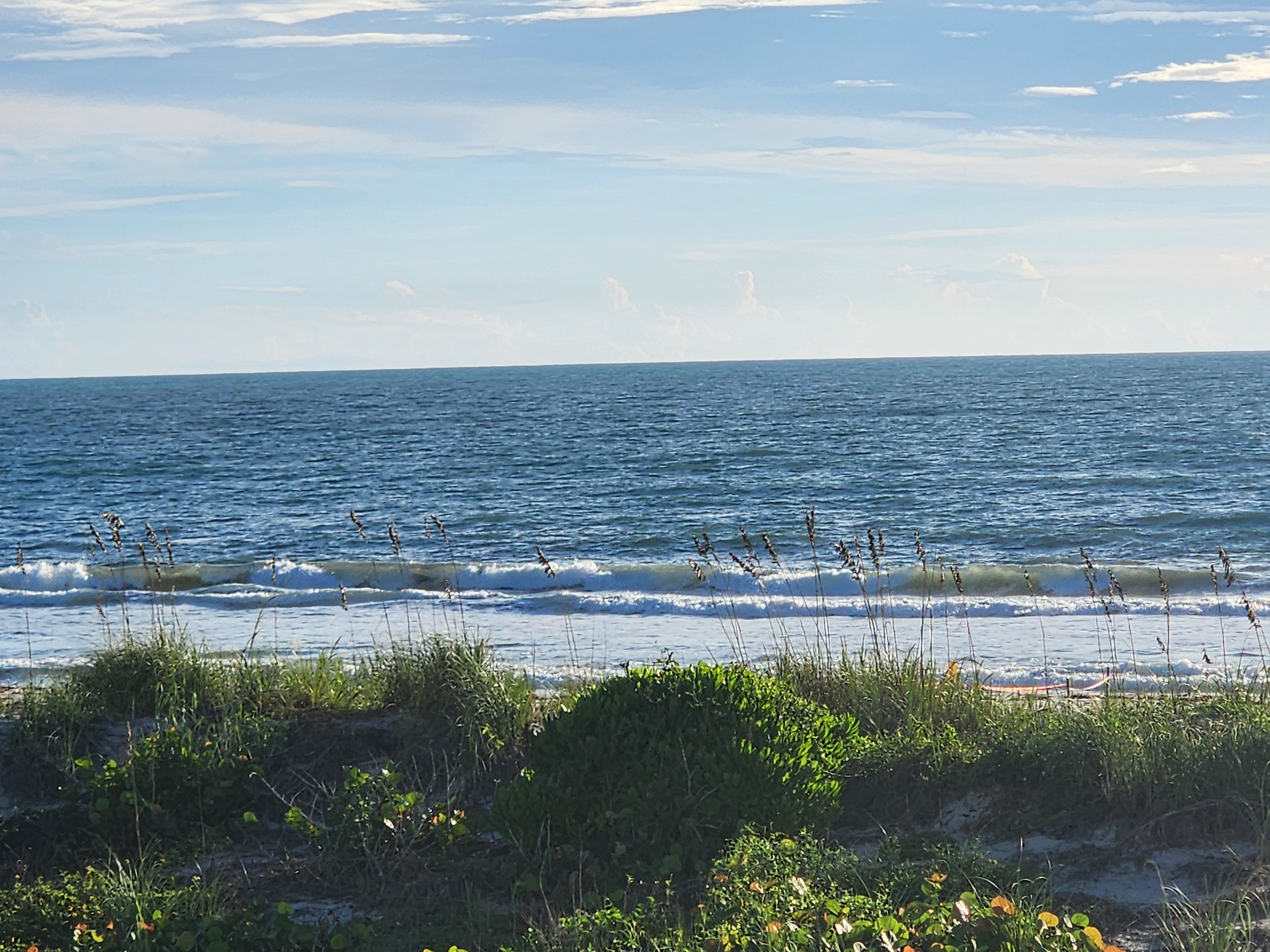 A single waist-high line peeling down the beach with ENE texture on the surface, sea oats standing in front of it, South Cocoa Beach