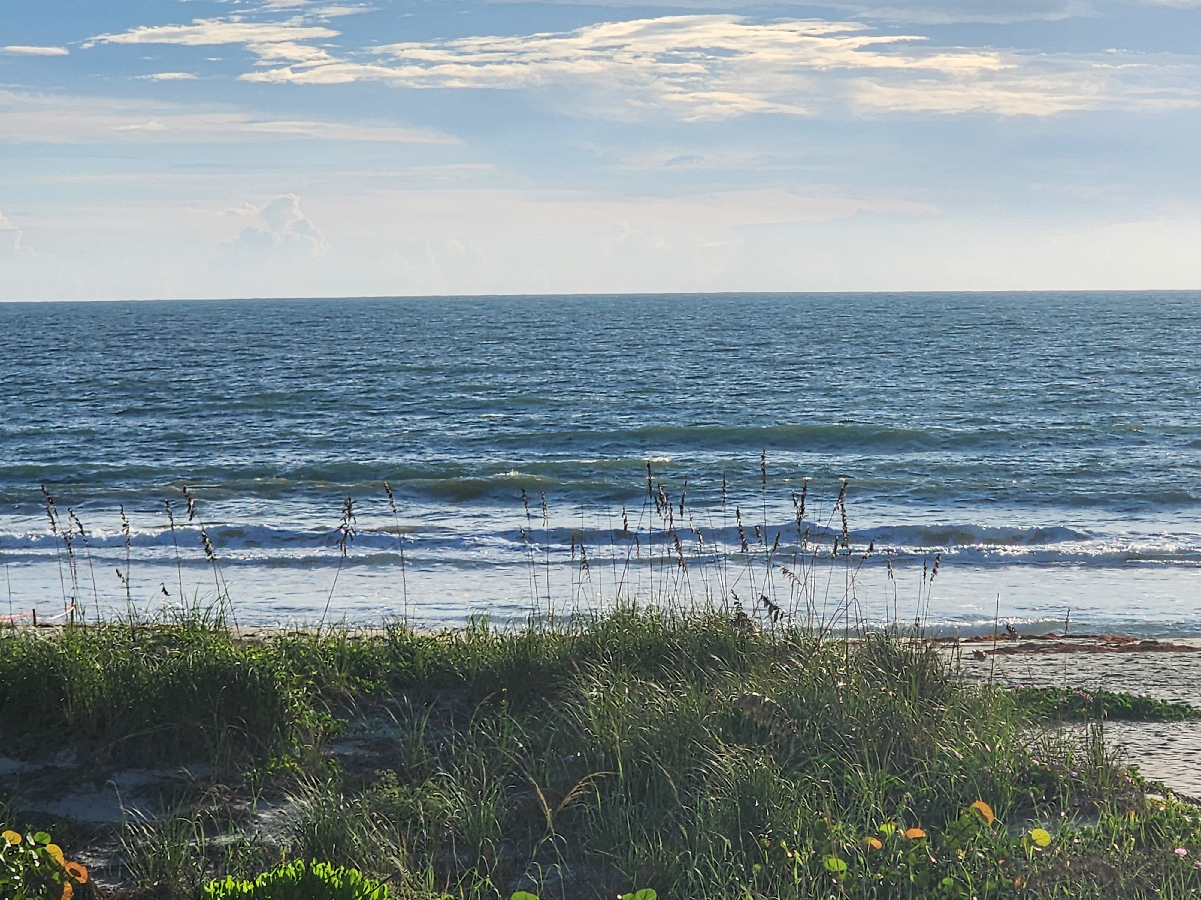 Small windblown surf sliding across the sandbar under scattered high cloud, dune grass and sea grape in the foreground, South Cocoa Beach