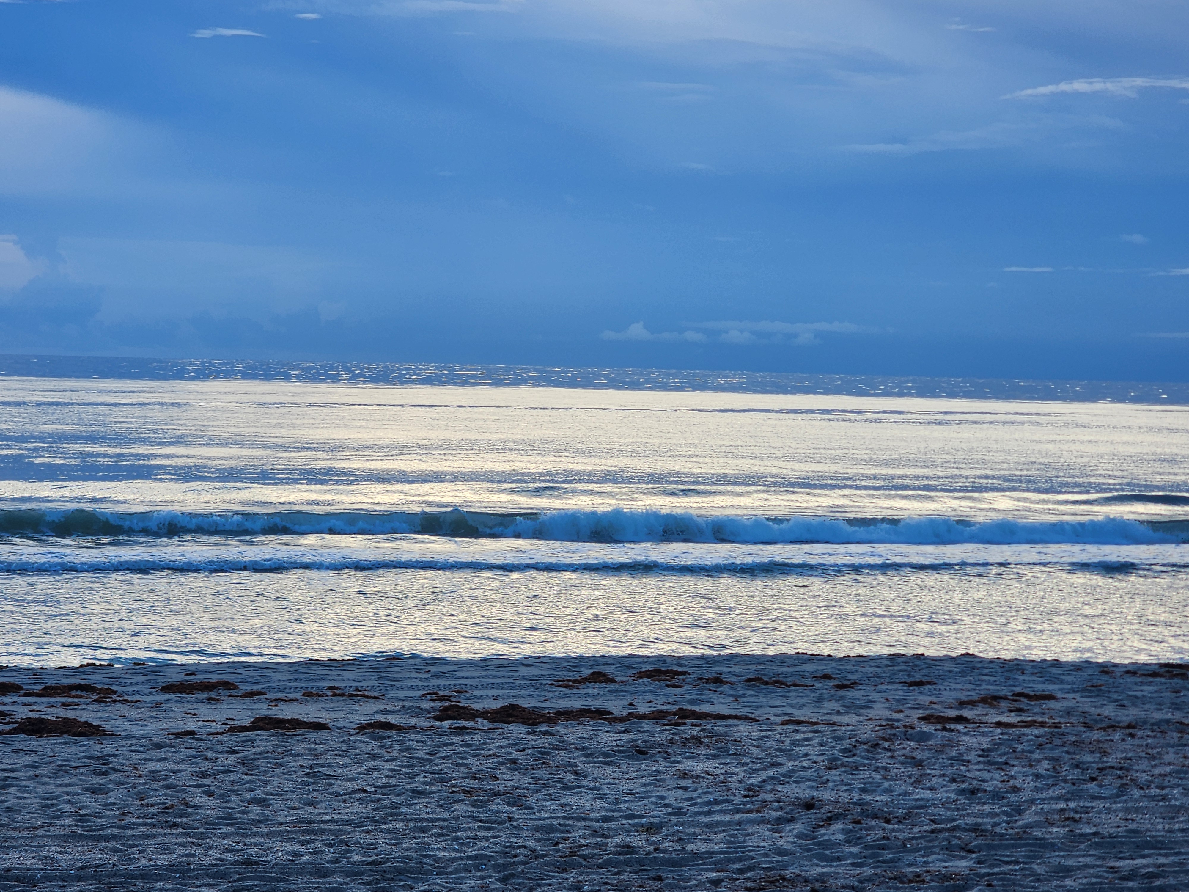 Small clean 1-2 ft wave breaking on a glassy low tide at Cocoa Beach with scattered sargassum on the sand