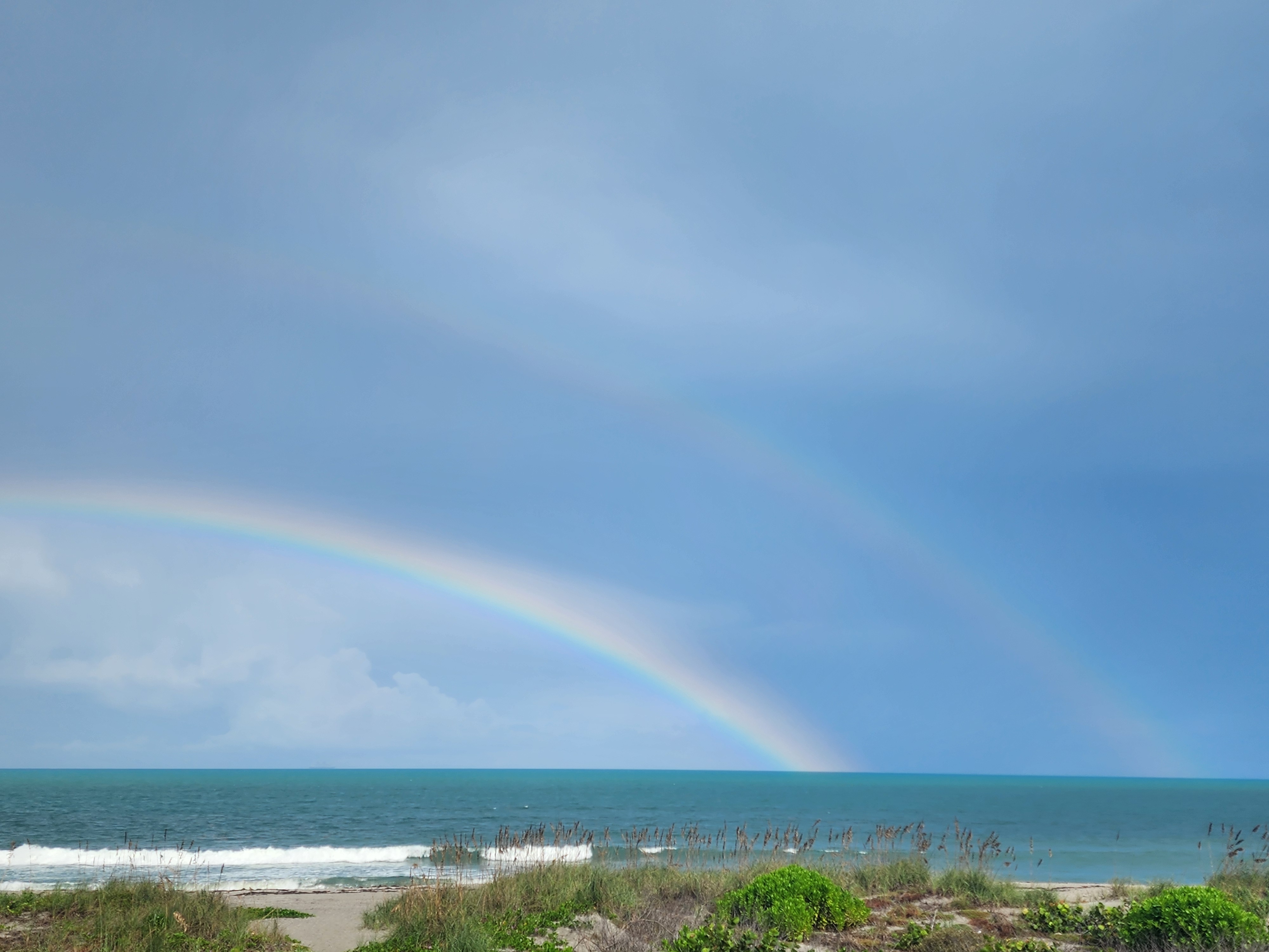 Double rainbow arcing over the ocean after yesterday's rain, with dune grasses and sea oats in the foreground