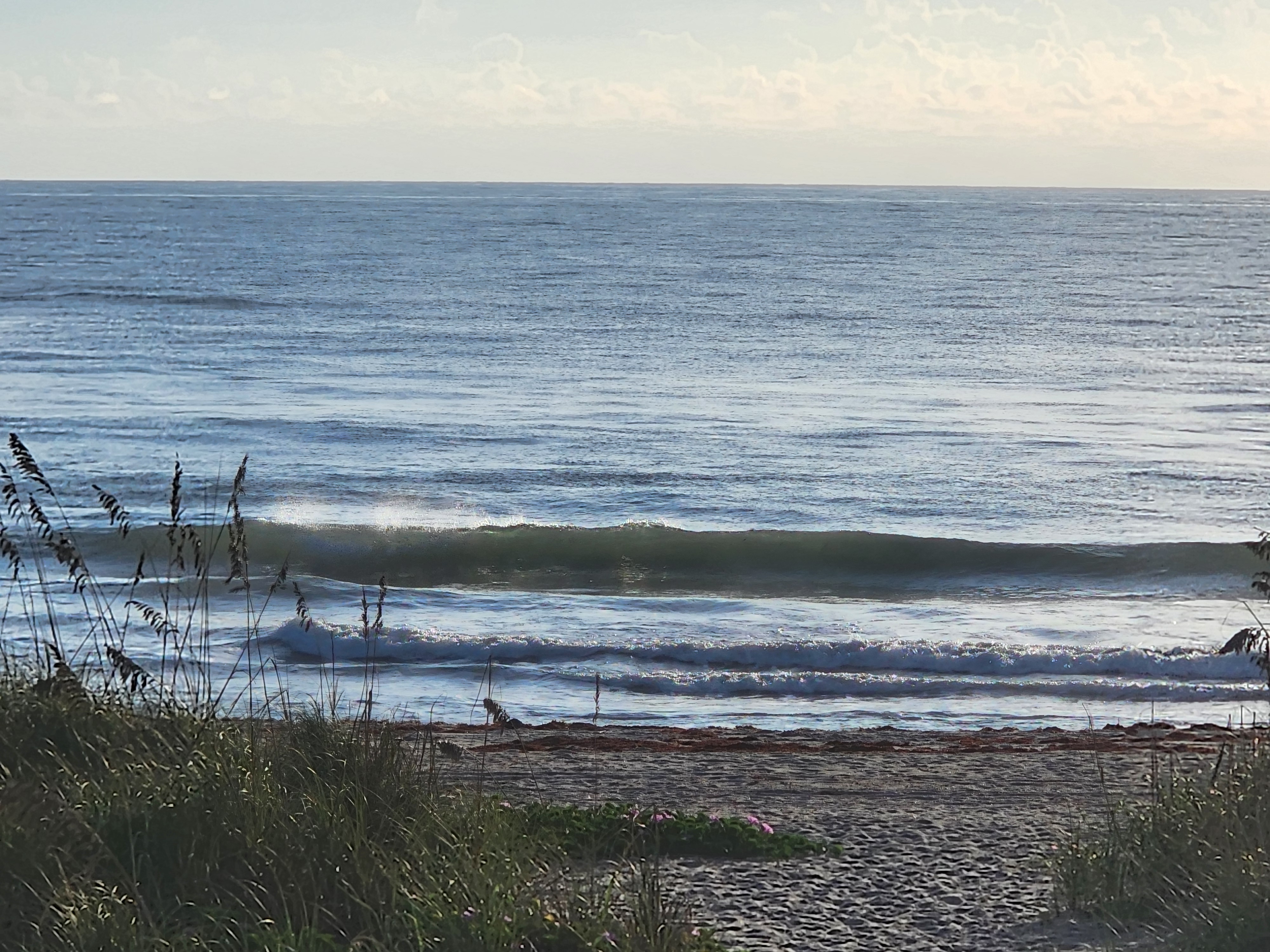 Small wave lining up at high tide with offshore spray off the lip, sea oats silhouetted on the left