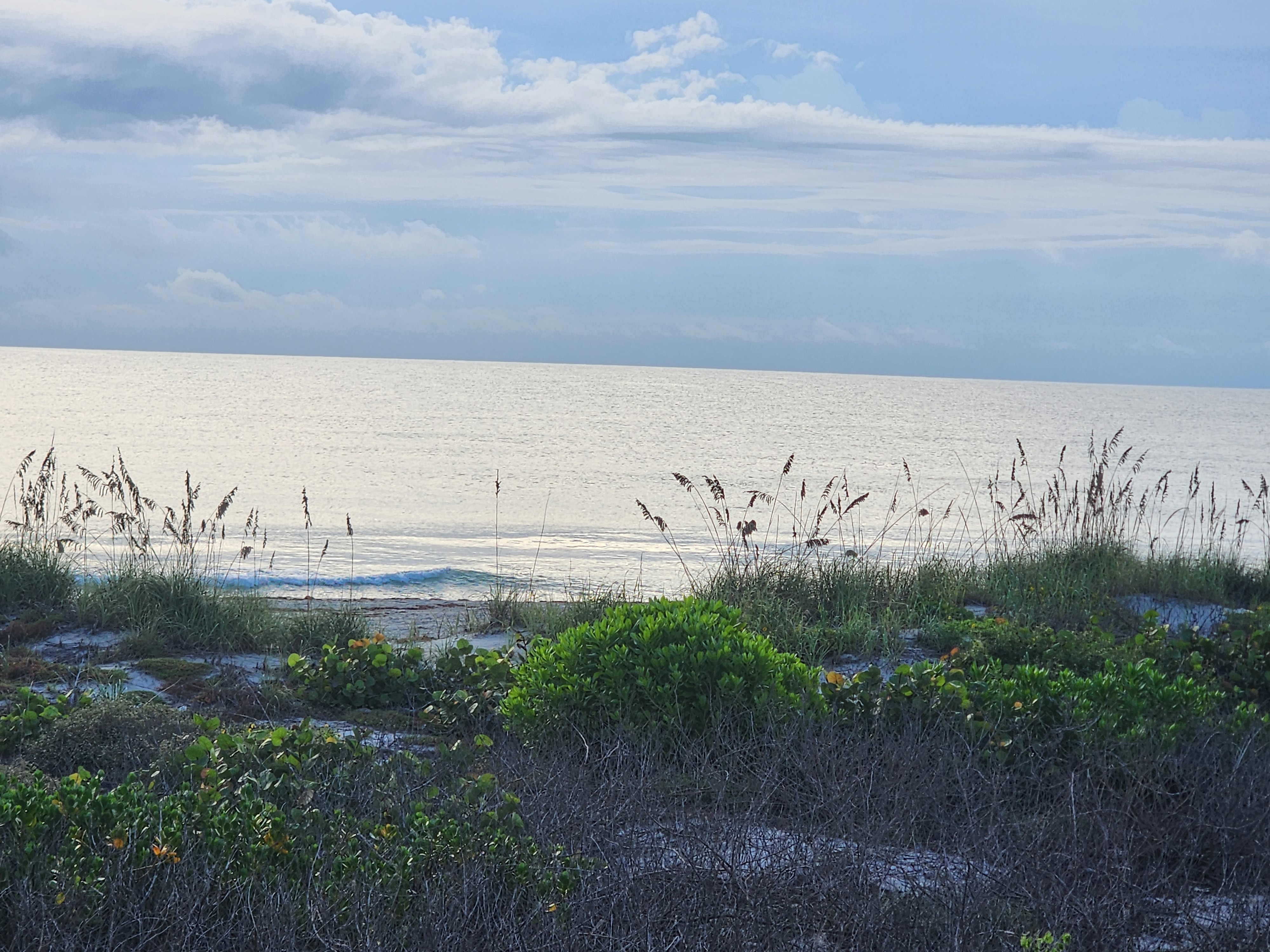 Glassy silver ocean beyond sea oats and sea grape on the dunes, with a small wave breaking near shore under a layered cloudy sky