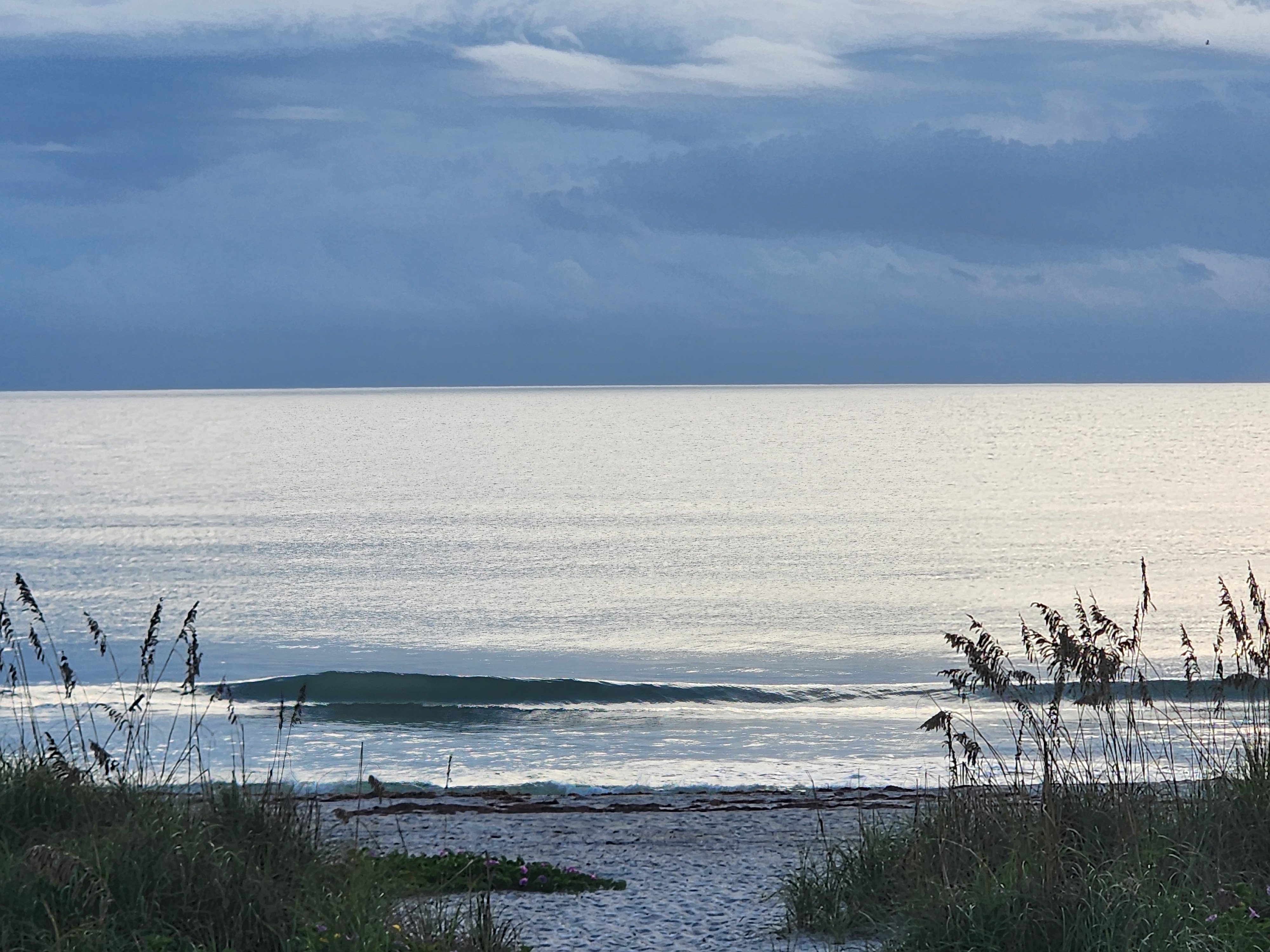 Close-up of a small, clean ankle-high wave rolling in on a flat silver sea, framed by sea oats under dark gray-blue clouds