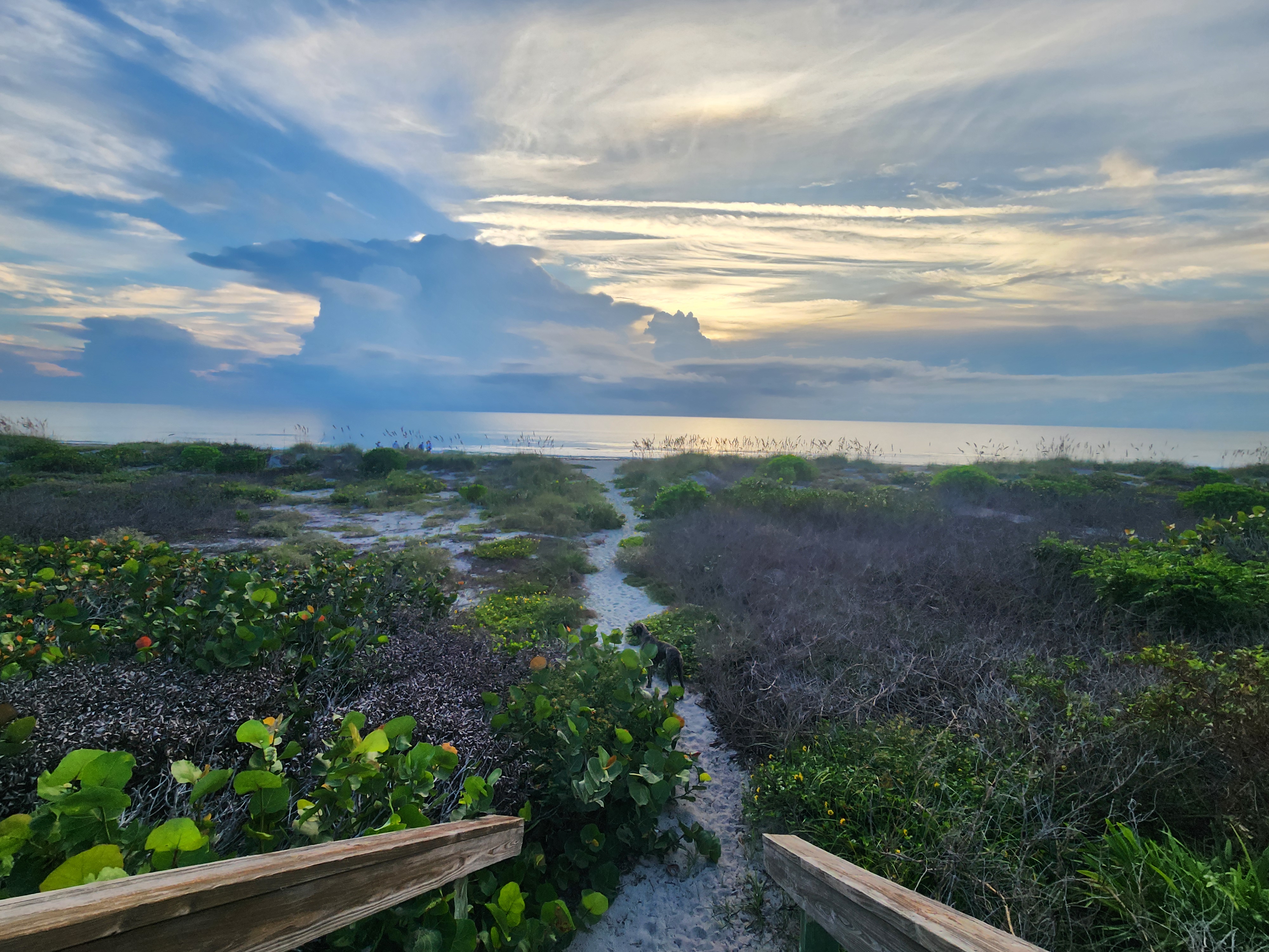 View from the wooden beach crossover down a sandy dune path, with a dog walking toward the water beneath dramatic streaked clouds and sunlight