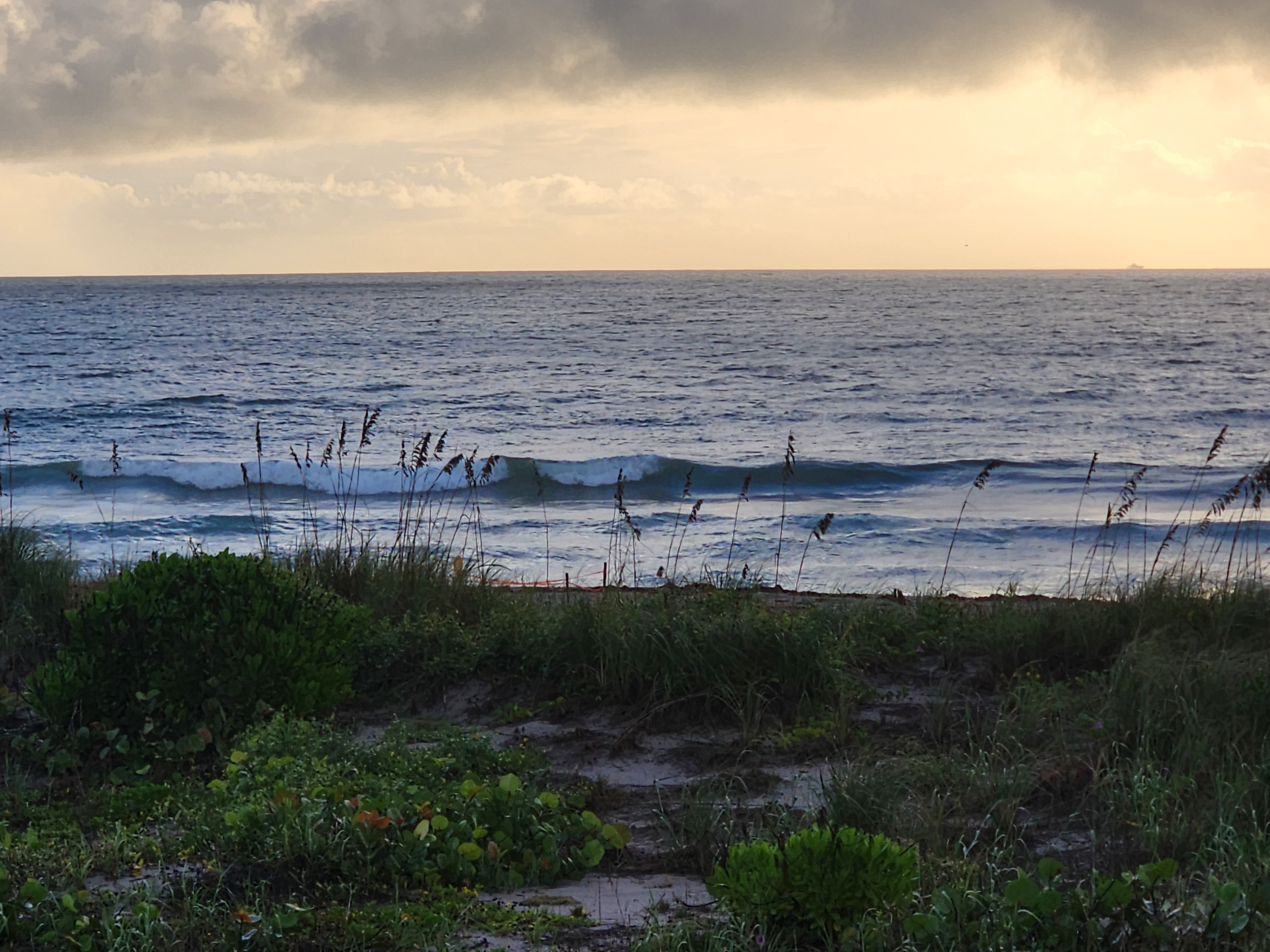 Long lefts peeling across the inside at high tide under heavy gray clouds, sea oats silhouetted against the water and sea grapes covering the Cocoa Beach dunes in the foreground.