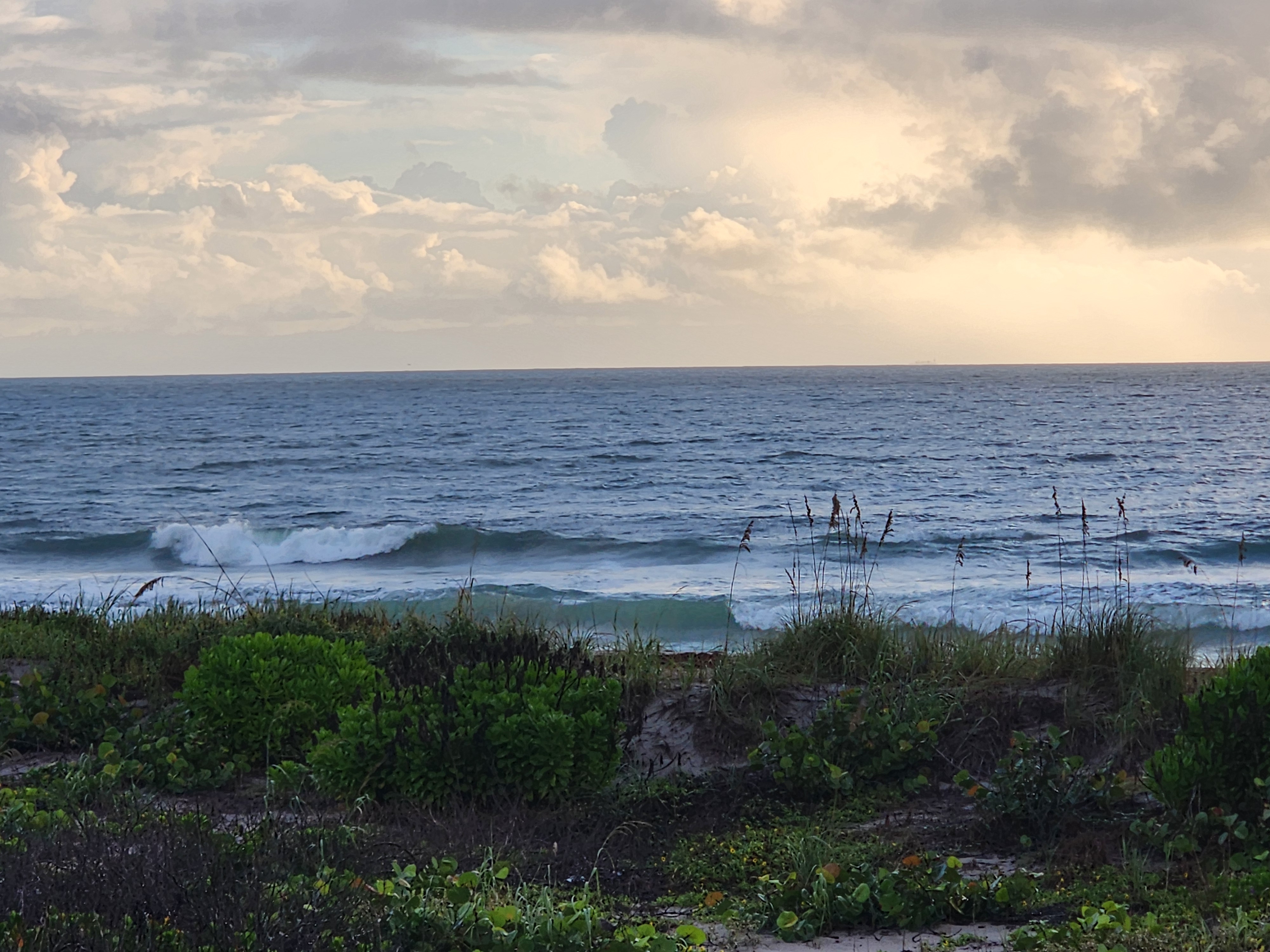 A left breaking white on the outside with a second line washing through the inside, sunlit cumulus towering over the Atlantic and sea grapes and beach morning glory spread across the dune.