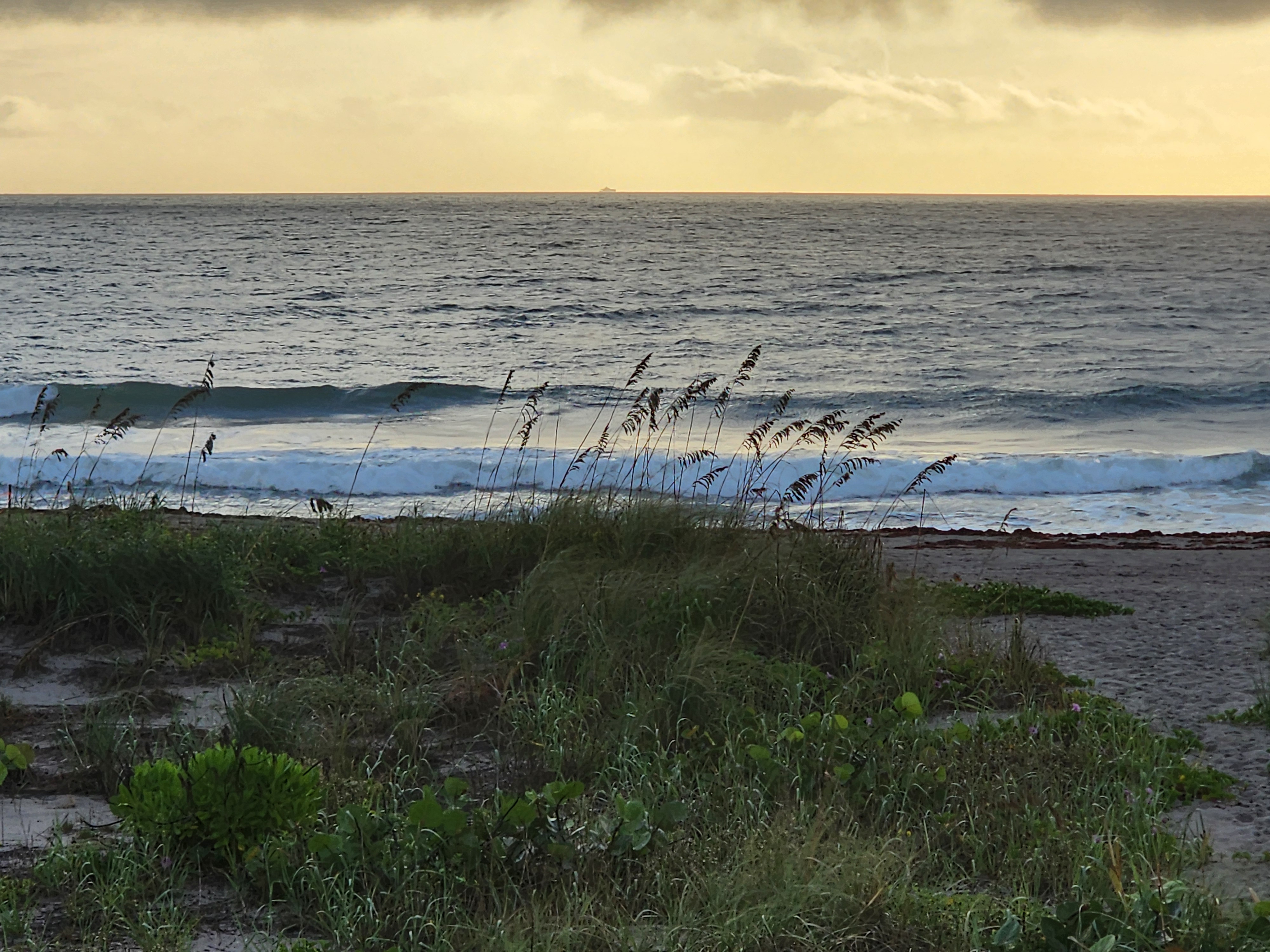 Sea oats leaning in the north wind over a grassy dune, two lines of whitewater rolling toward the beach under a golden sky with a ship on the horizon.
