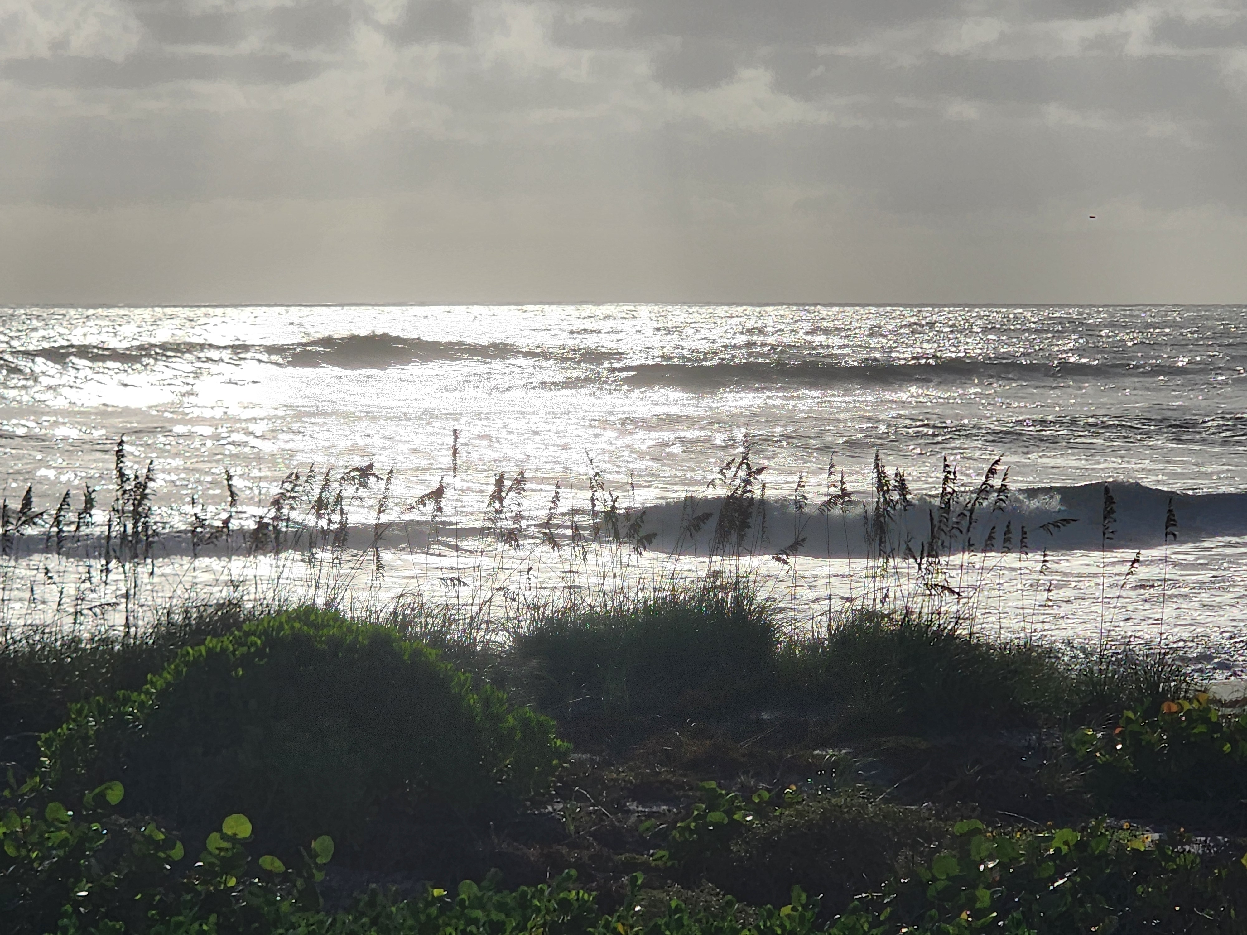 Backlit morning swell glinting silver under gray clouds, sea oats silhouetted over the dune