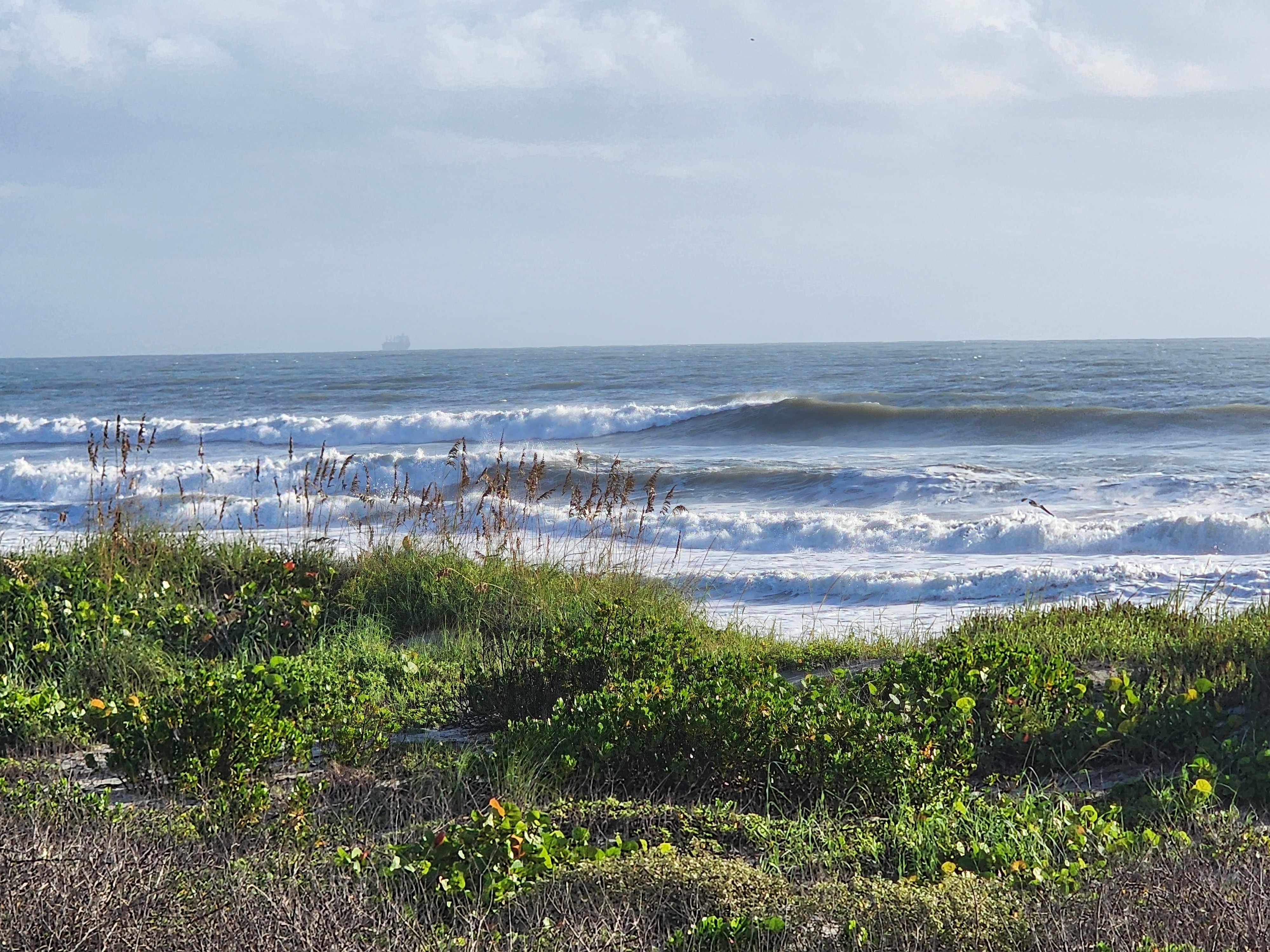 Multiple lines of whitewater stacking toward shore past sea oats and sea grapes, cargo ship far offshore