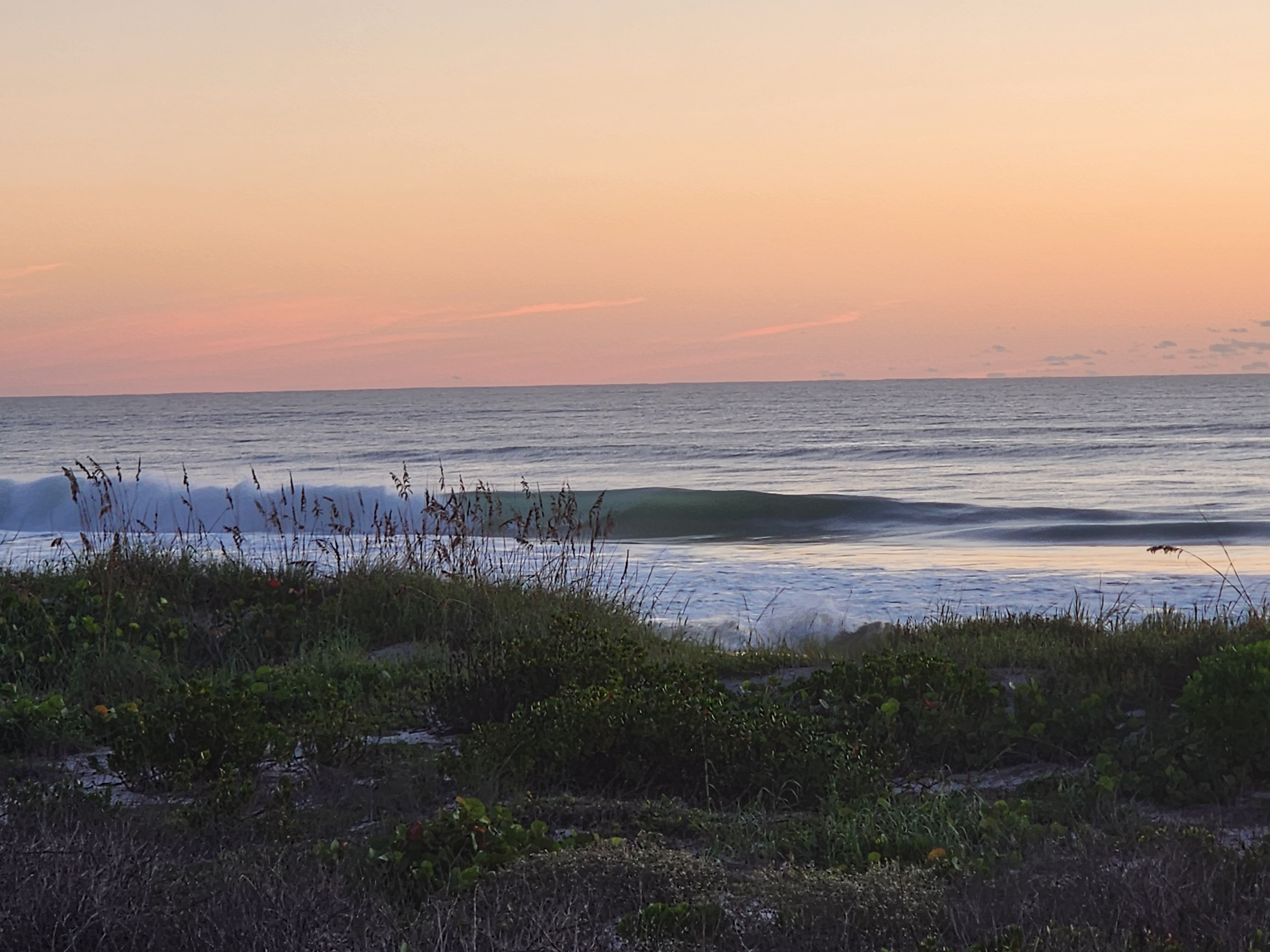 A glassy green wave pitching and spraying on the inside bar behind silhouetted sea oats, sea grapes covering the Cocoa Beach dune under a soft pink and peach dawn sky.