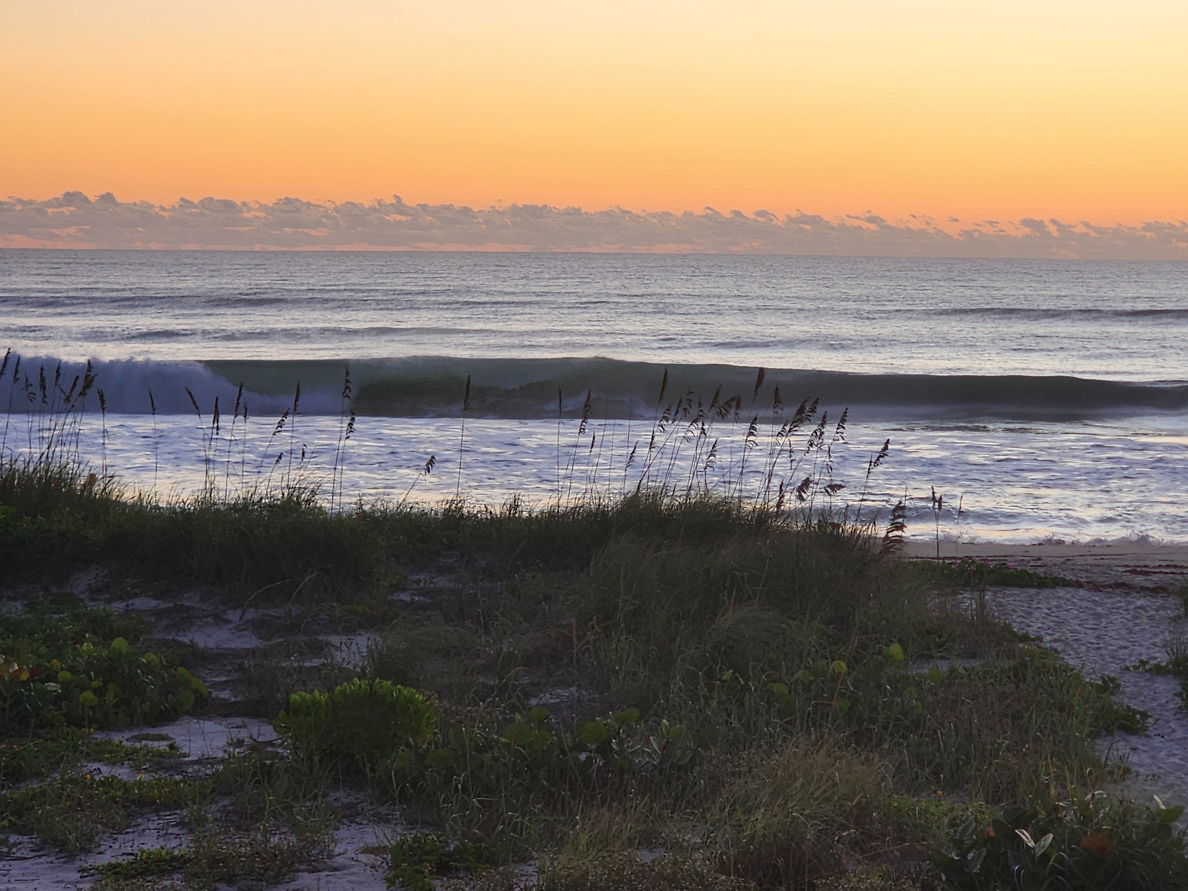 A thick green wall pitching over the inside sandbar with another set lining up behind it, sea oats swaying above dune grass and sea grapes as the sky burns orange over the Atlantic.