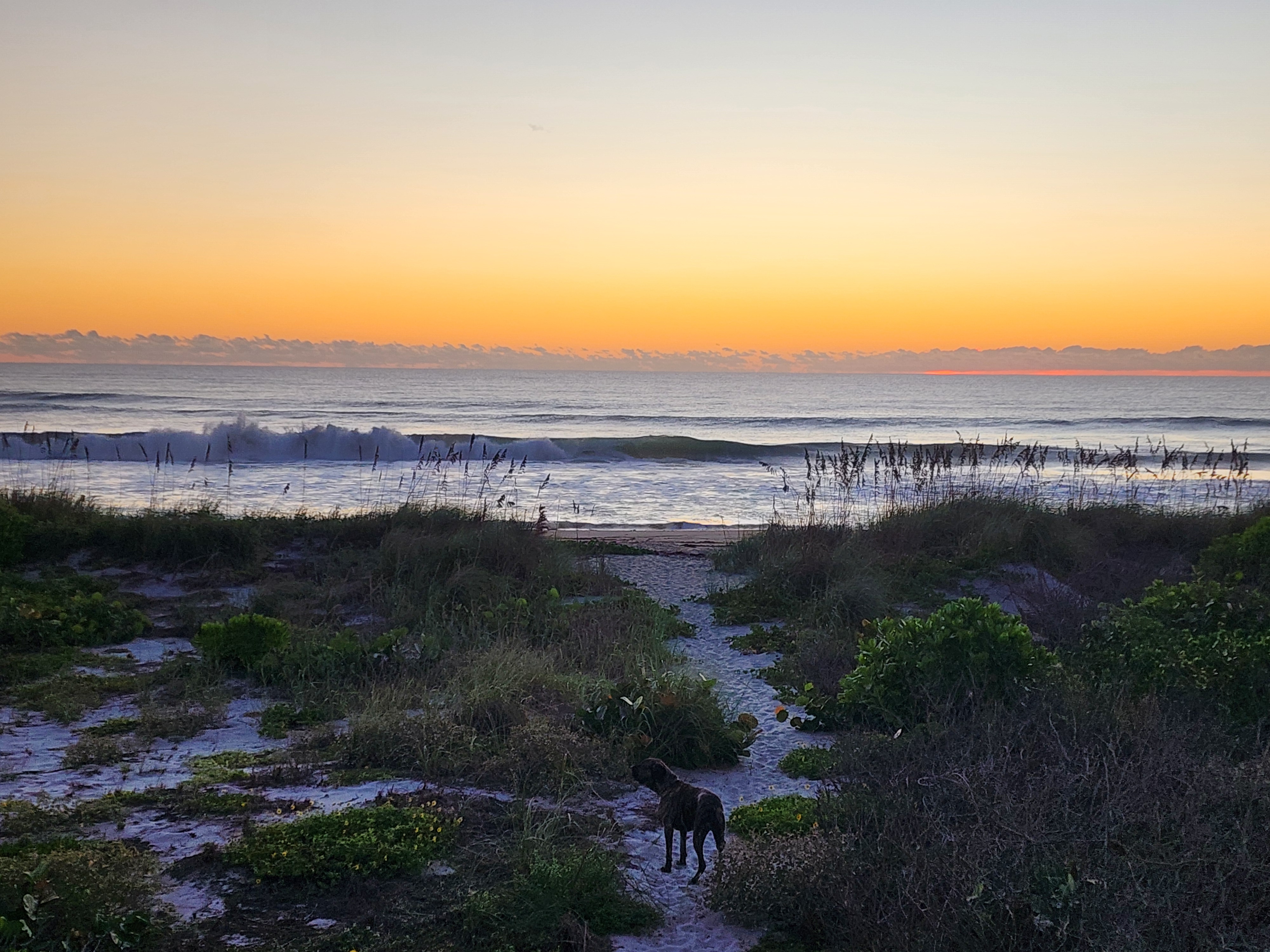 Athena standing on the sandy dune path through sea grapes and beach sunflowers, watching a set wave explode on the inside as the sun cracks the horizon in a thin red line beneath the clouds.