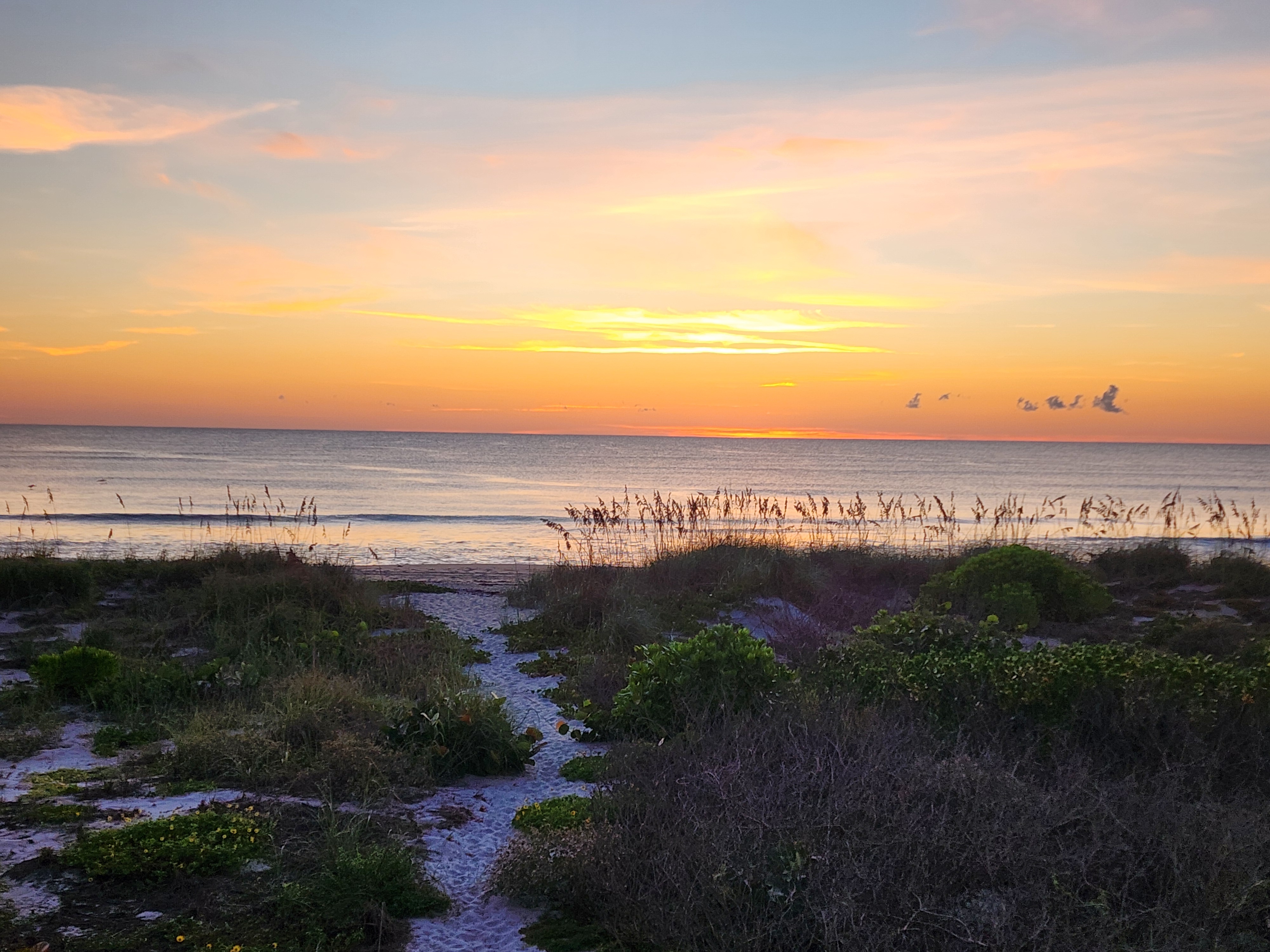 Sandy dune path winding through sea grapes, beach sunflowers and dune scrub toward calm water, sea oats glowing against a golden sunrise sky streaked with wispy clouds.
