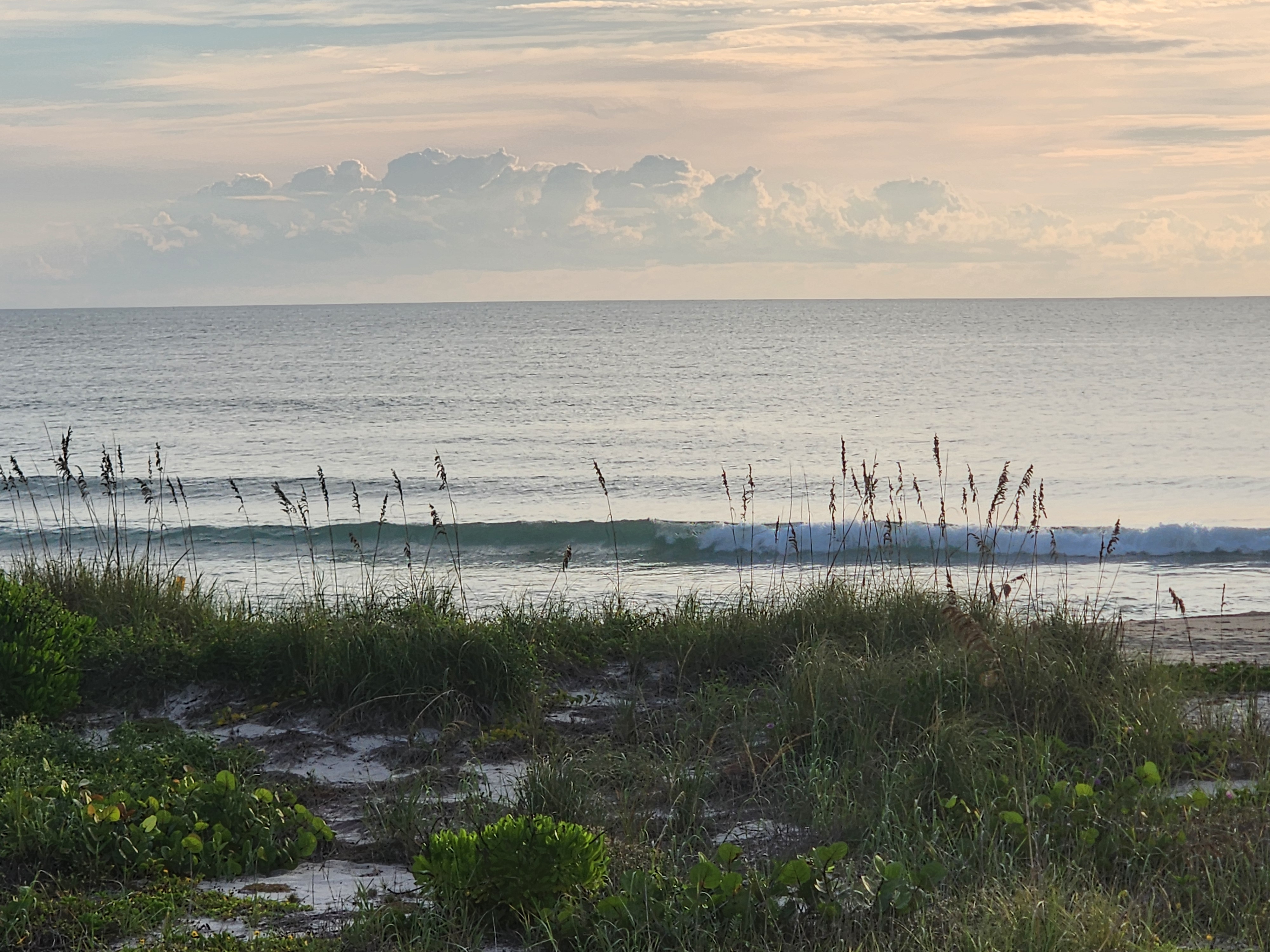 A small wave peeling right through the sea oats under a band of pastel cumulus clouds on the horizon