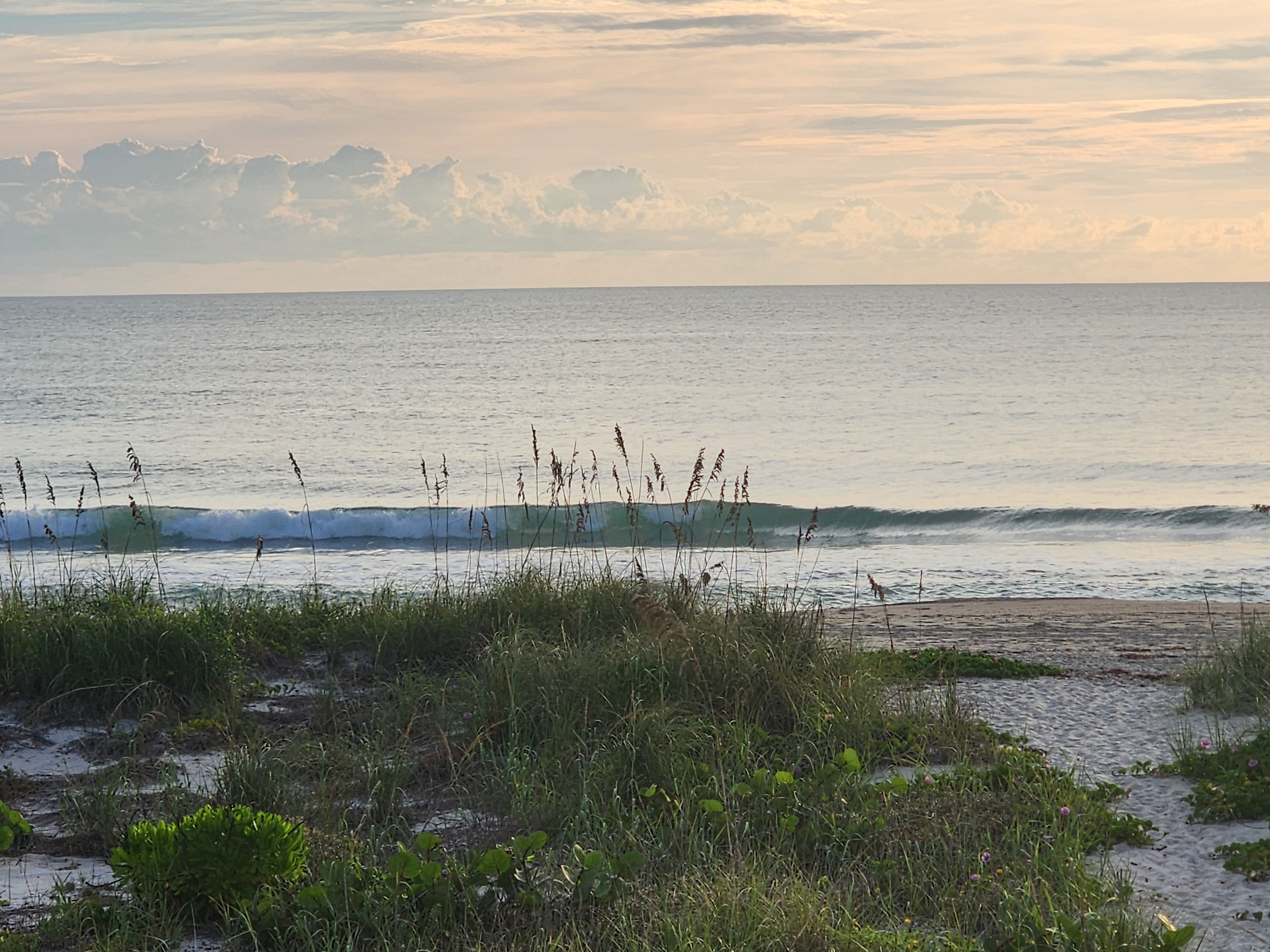 A small wave breaking left in soft morning light, with the sandy beach path opening up on the right