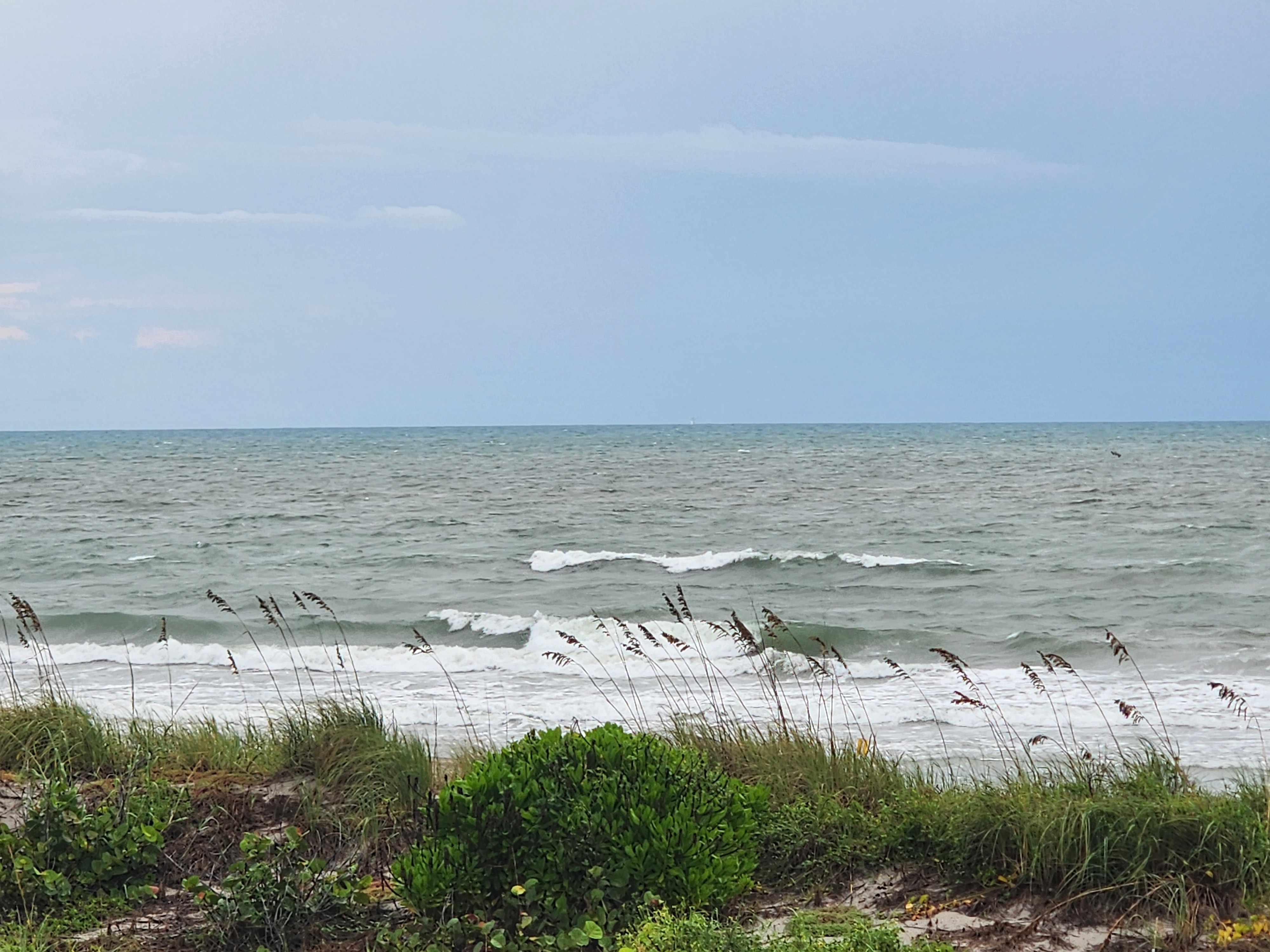 Wind-whipped sea oats bending over the dunes in front of messy, blown-out shorebreak