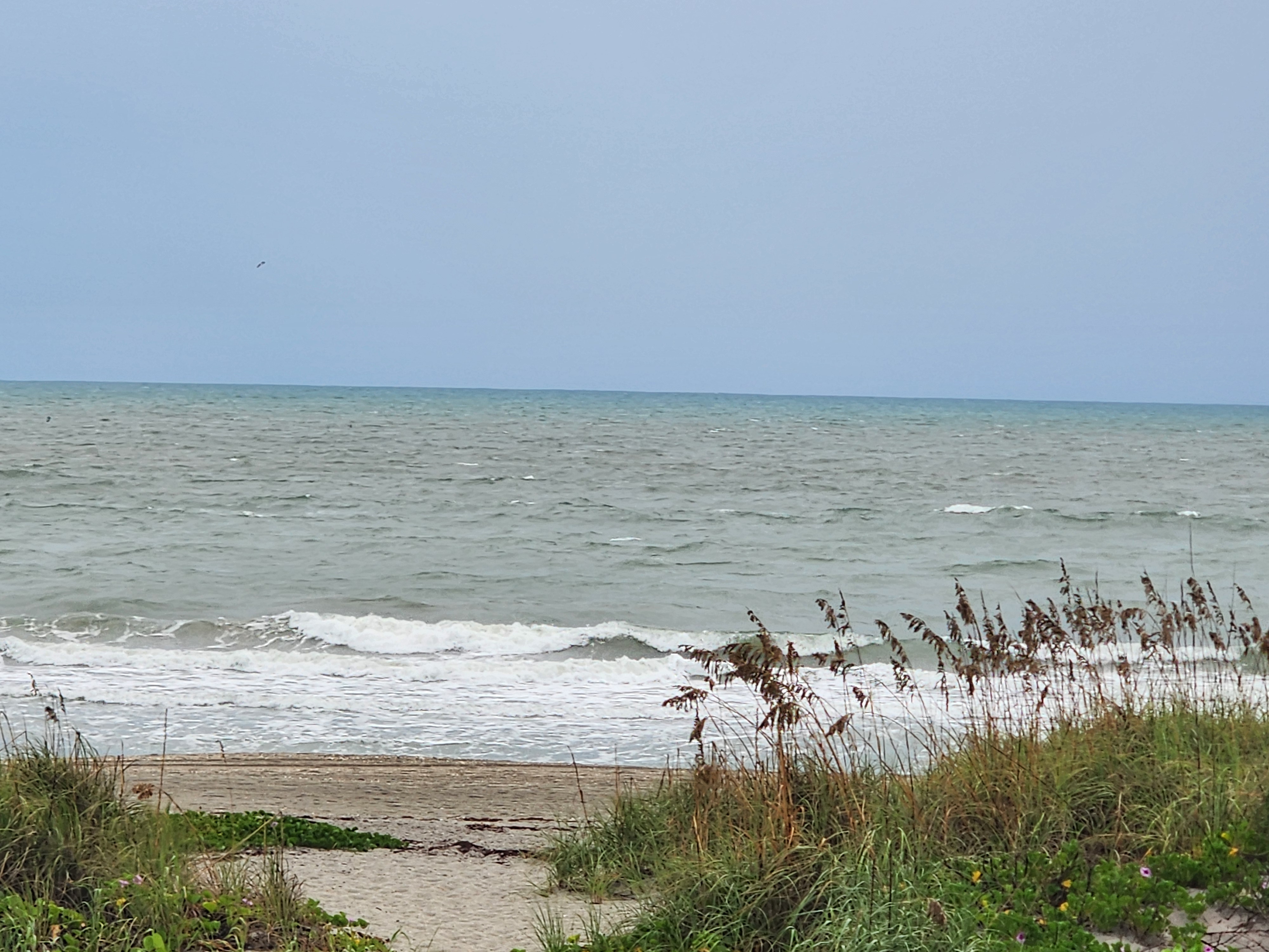 Overcast sky and choppy surf beyond the dune path, with a stretch of sand visible through the sea oats