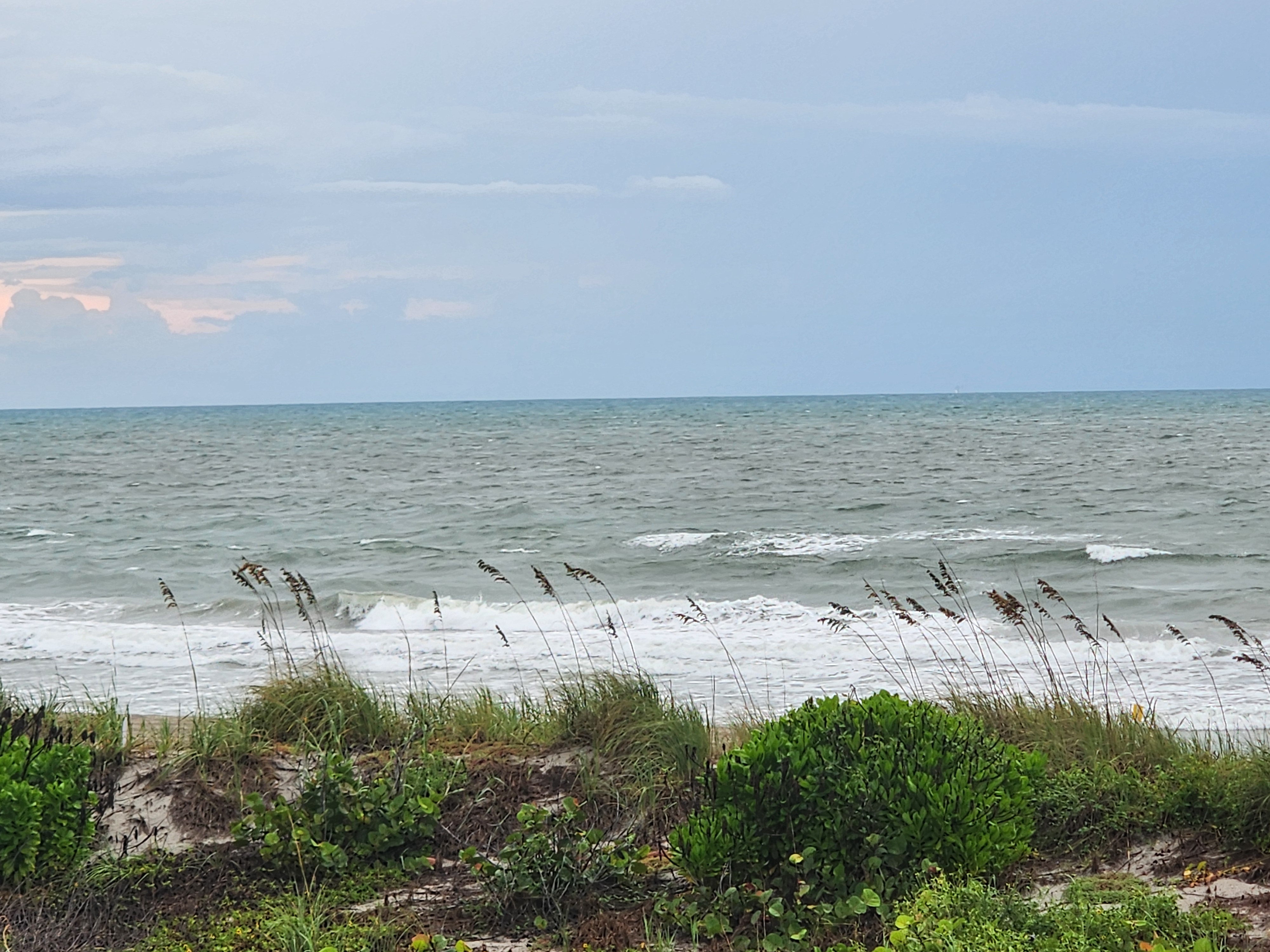 Disorganized whitewater rolling in past sea oats, with pink-tinged clouds on the horizon to the left