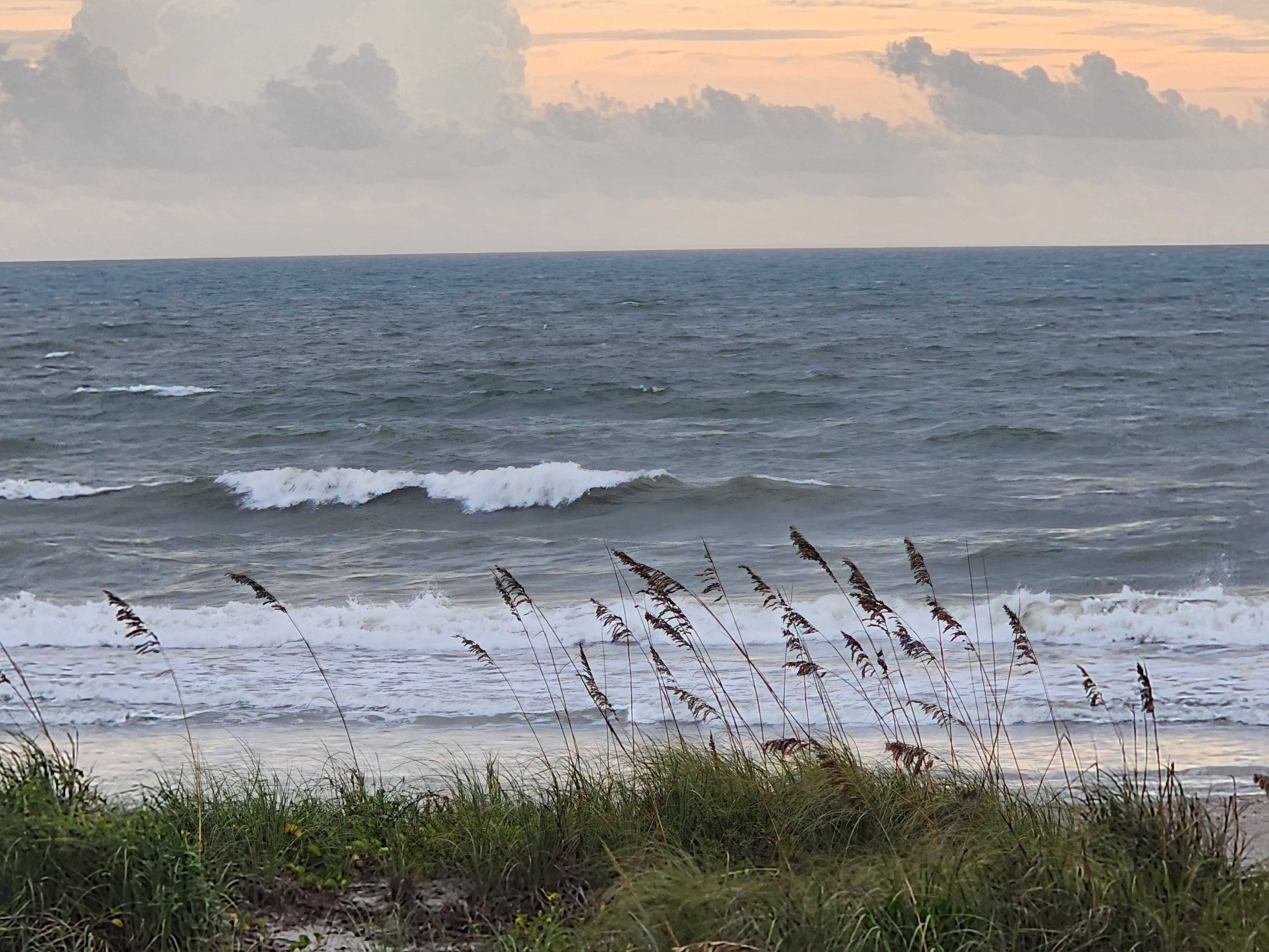 Close-up of wind-bent sea oats in front of breaking 2-3 foot waves and foamy whitewater, with an orange-tinted sky and clouds over a whitecapped ocean