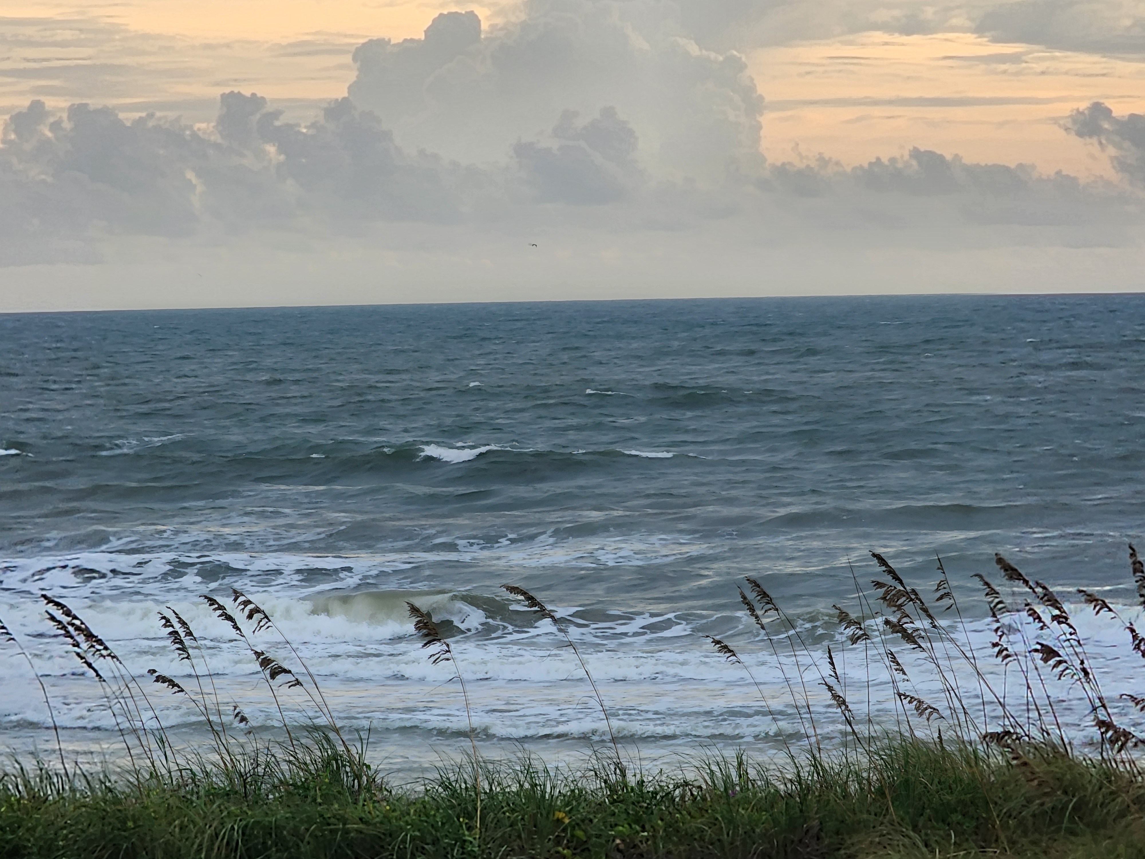 Whitecapped ocean churned up by ESE wind, a wave curling through the foamy shorebreak behind swaying sea oats, a single bird flying under the clouds