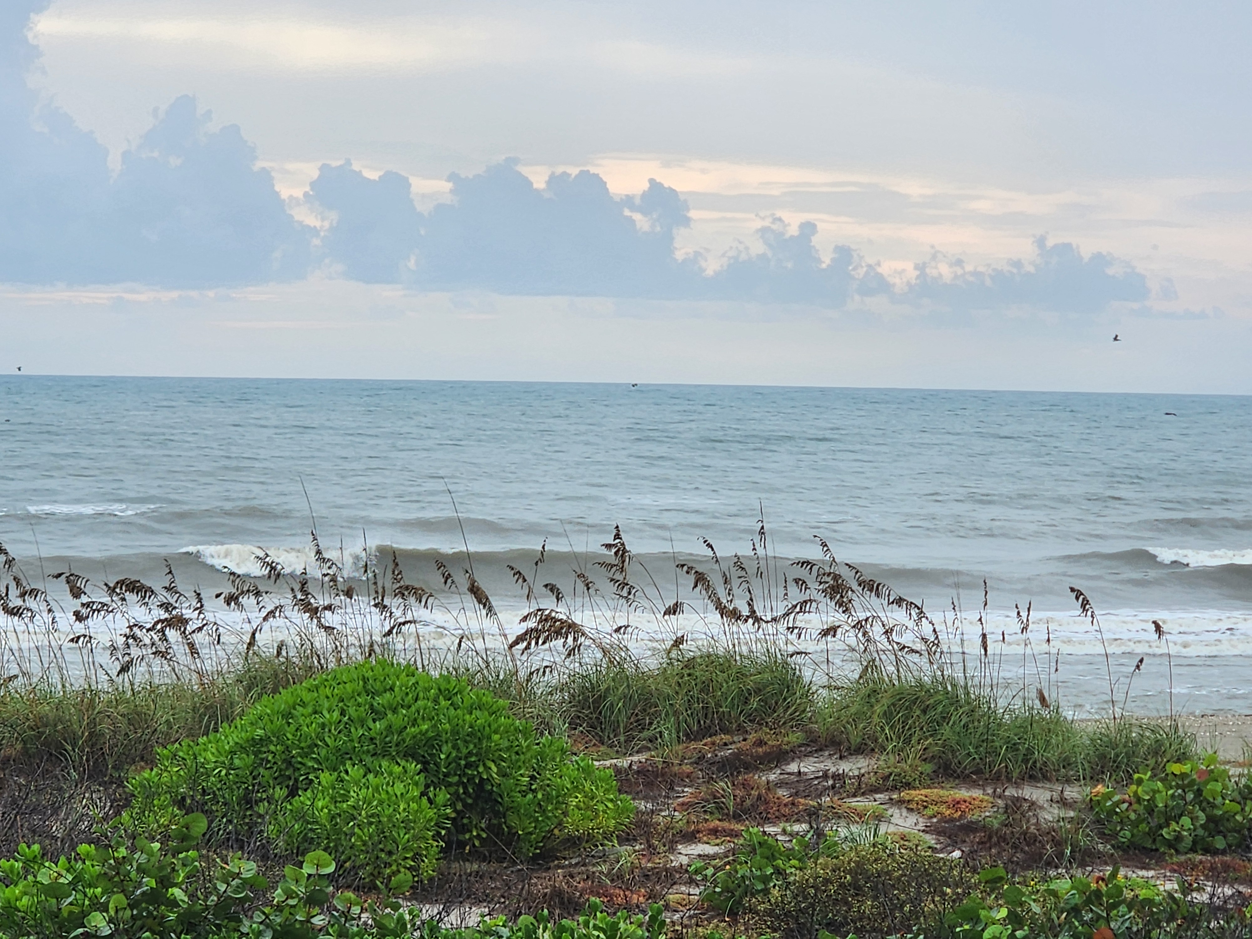 Sea oats framing a breaking wave under puffy gray clouds with low tide foam across the inside