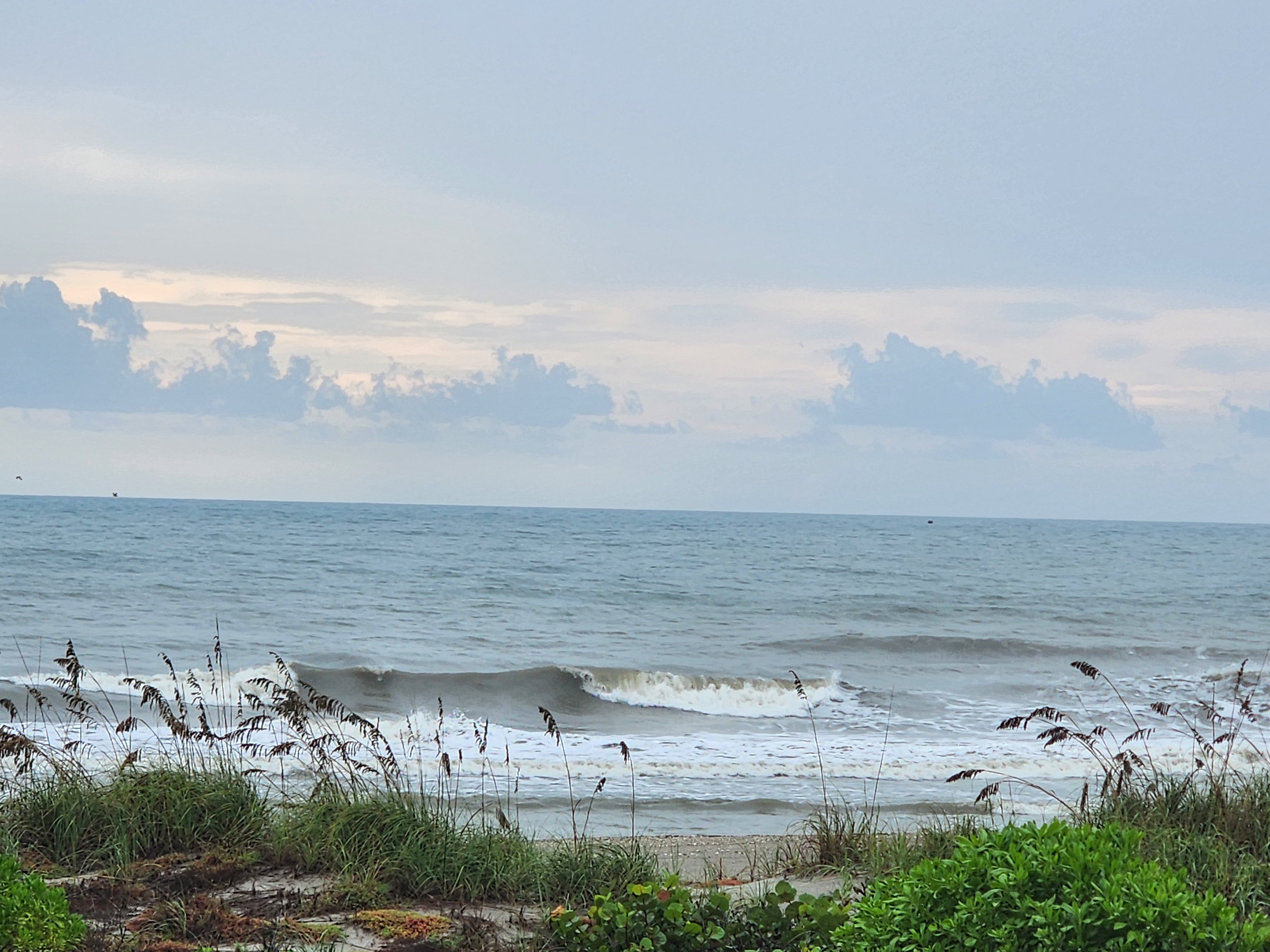 Brown-tinged shortboard wave curling over the bar with pelicans along the horizon
