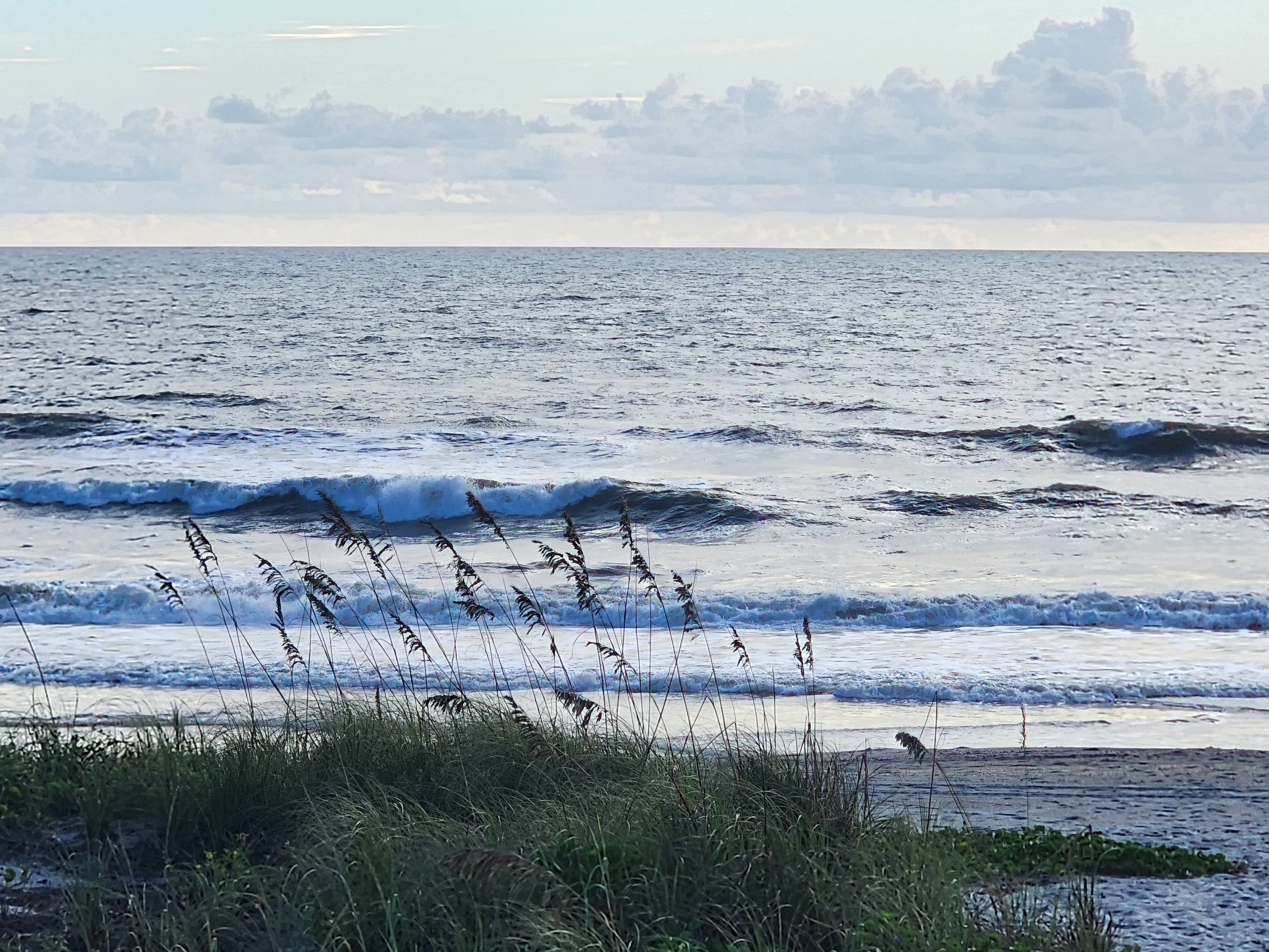 Sea oats in the foreground as a shortboard-sized wave pitches on the outer bar and whitewater rolls toward shore on the incoming low tide