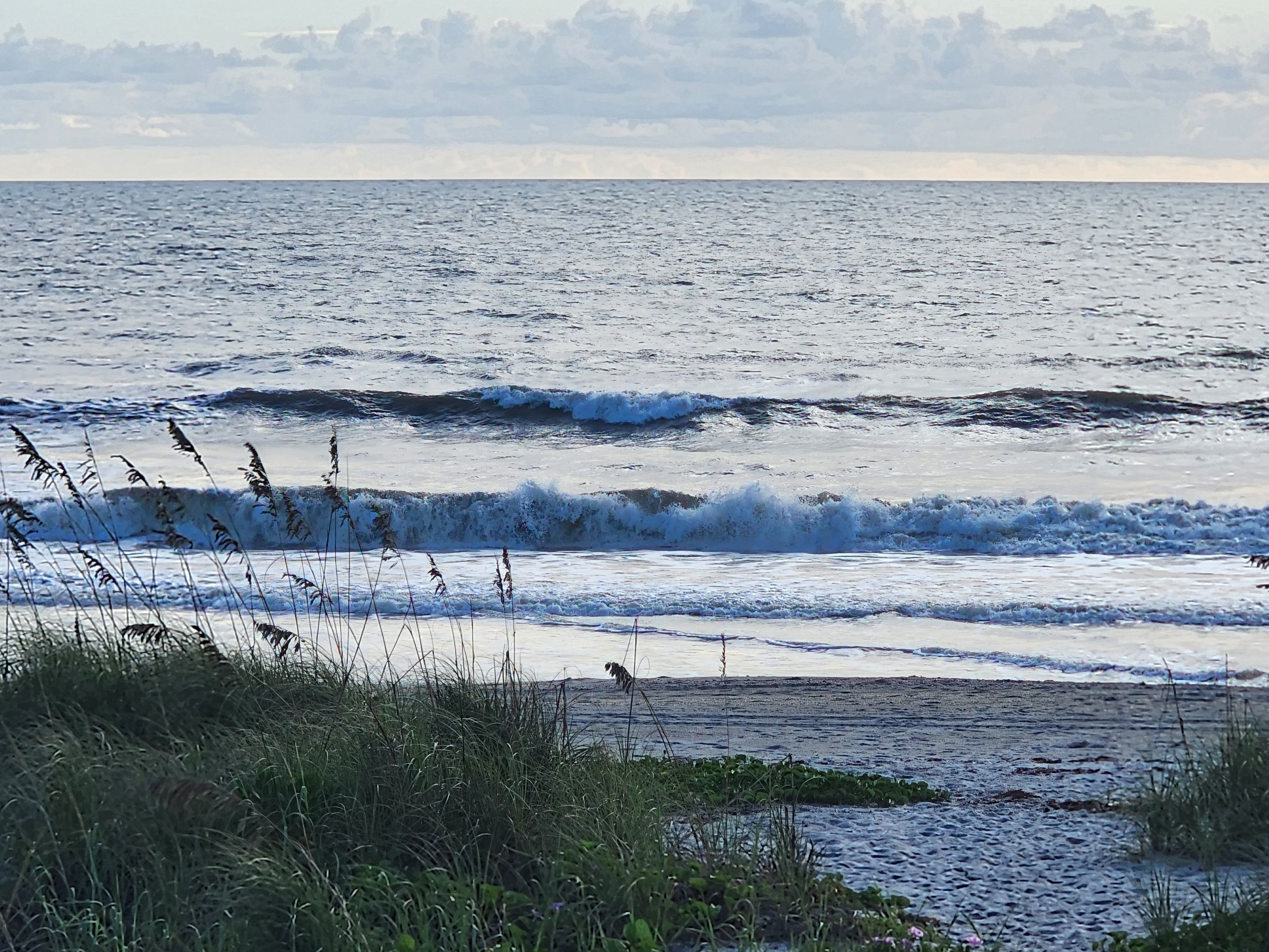 Closeout section of a 2-3 foot wave crumbling across the inside bar, with dune grass, railroad vine, and an empty stretch of sand below