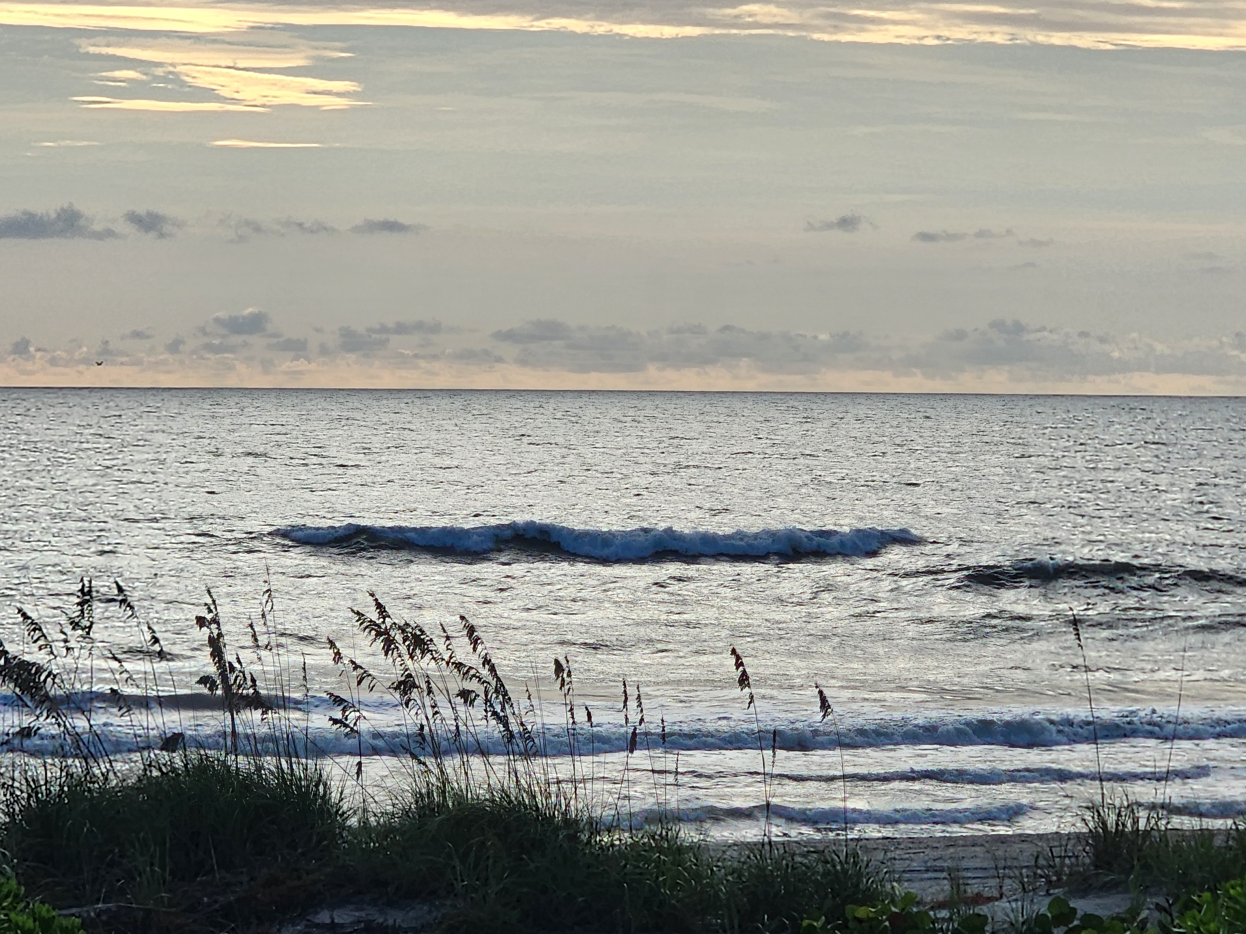 Lone peak lifting on the outside under a pale gold overcast sky, sea oats silhouetted against the silver morning water at Cocoa Beach