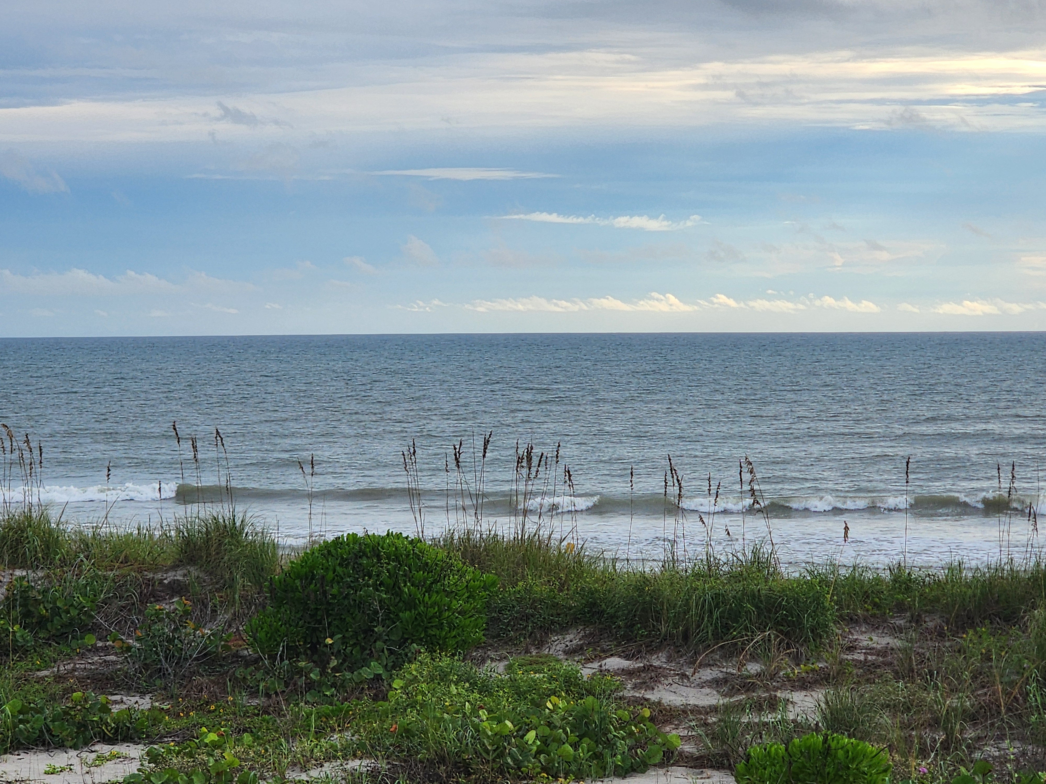 Small 1-2 ft waves rolling in beyond a line of sea oats and dune scrub at Cocoa Beach, with a calm blue Atlantic and streaky clouds overhead
