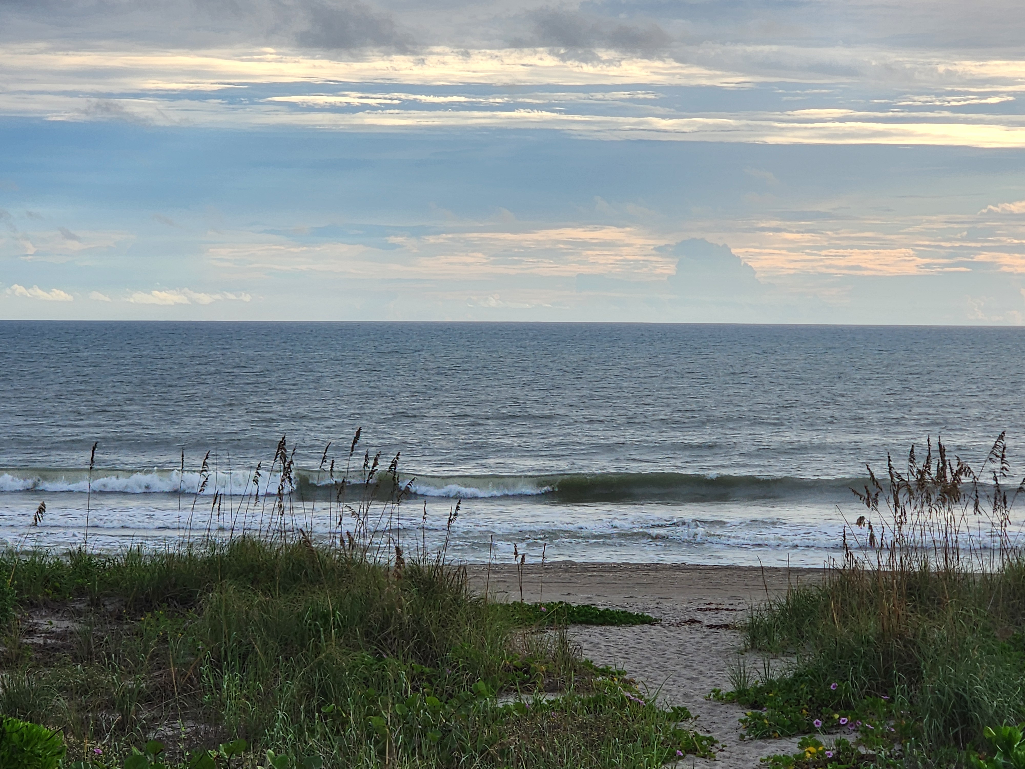 Dune crossover path flanked by sea oats and pink morning glory leading to the beach, with a long closeout wave breaking across the shallow bar