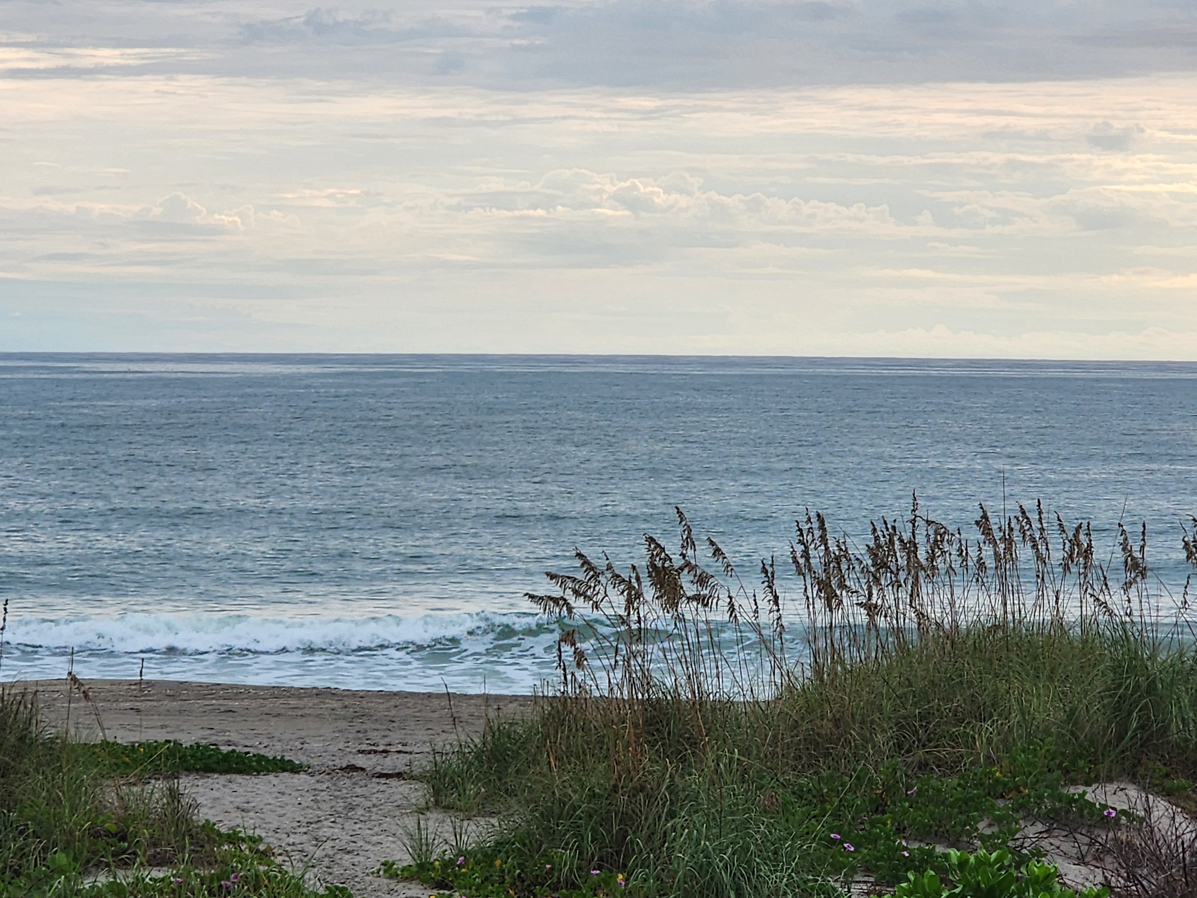 Wide view over sea oats and dune grass to small whitewater rolling onto the shore beneath layered clouds