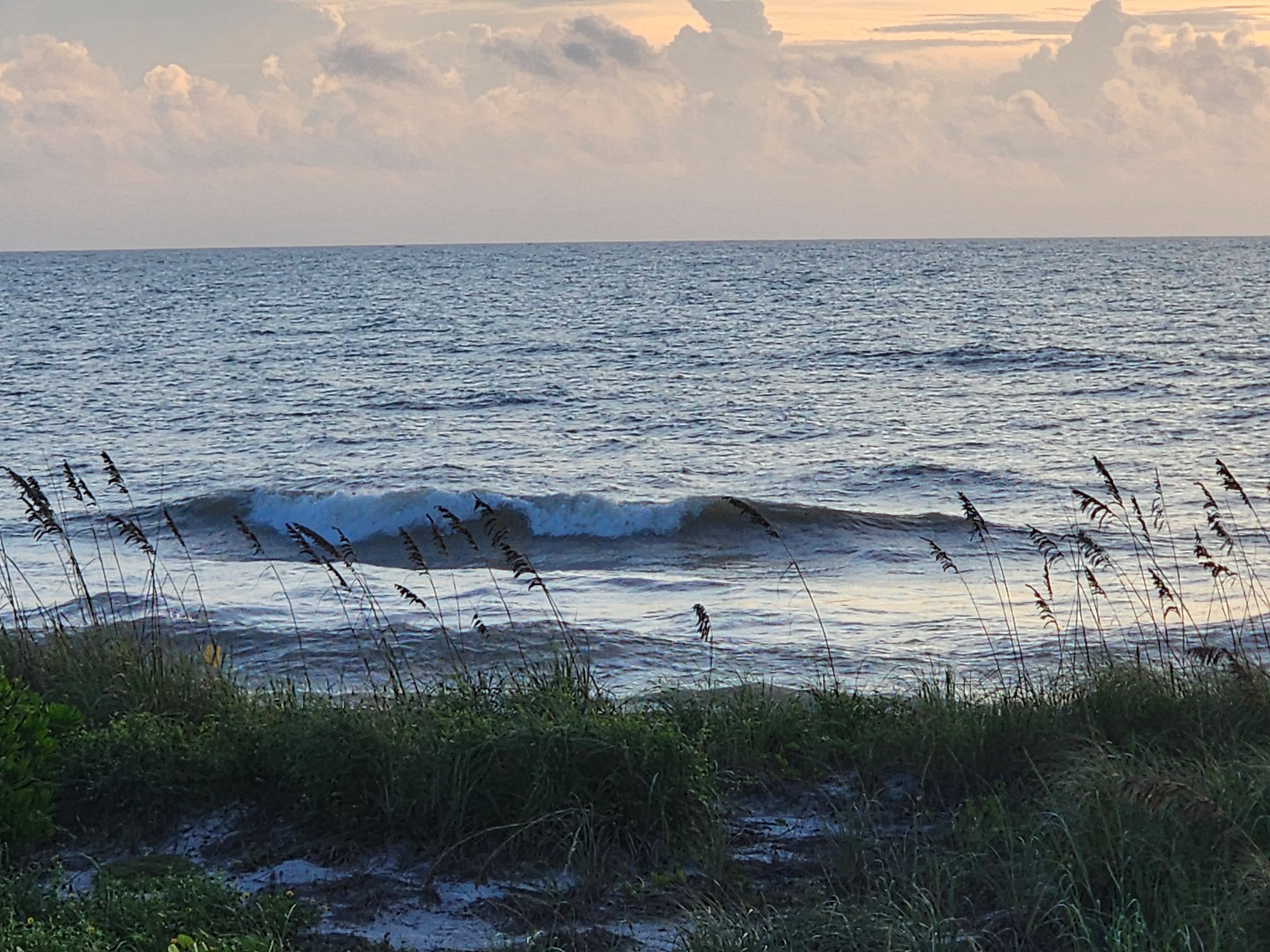 A 2-3 foot wave peeling through the inside, framed by sea oats under pastel morning clouds