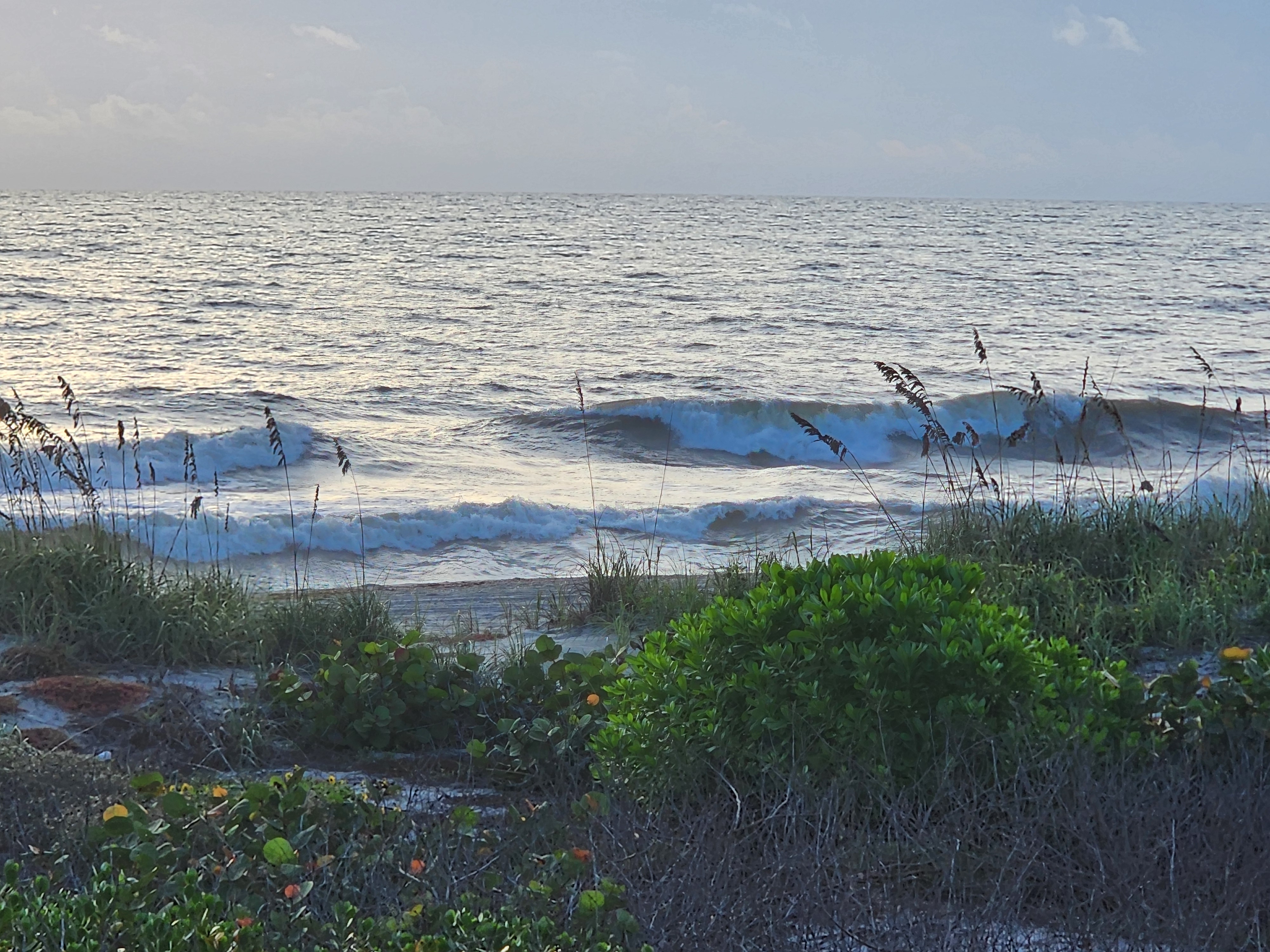 Two lines of whitewater rolling in on the high tide, sea grape and dune greenery in the foreground