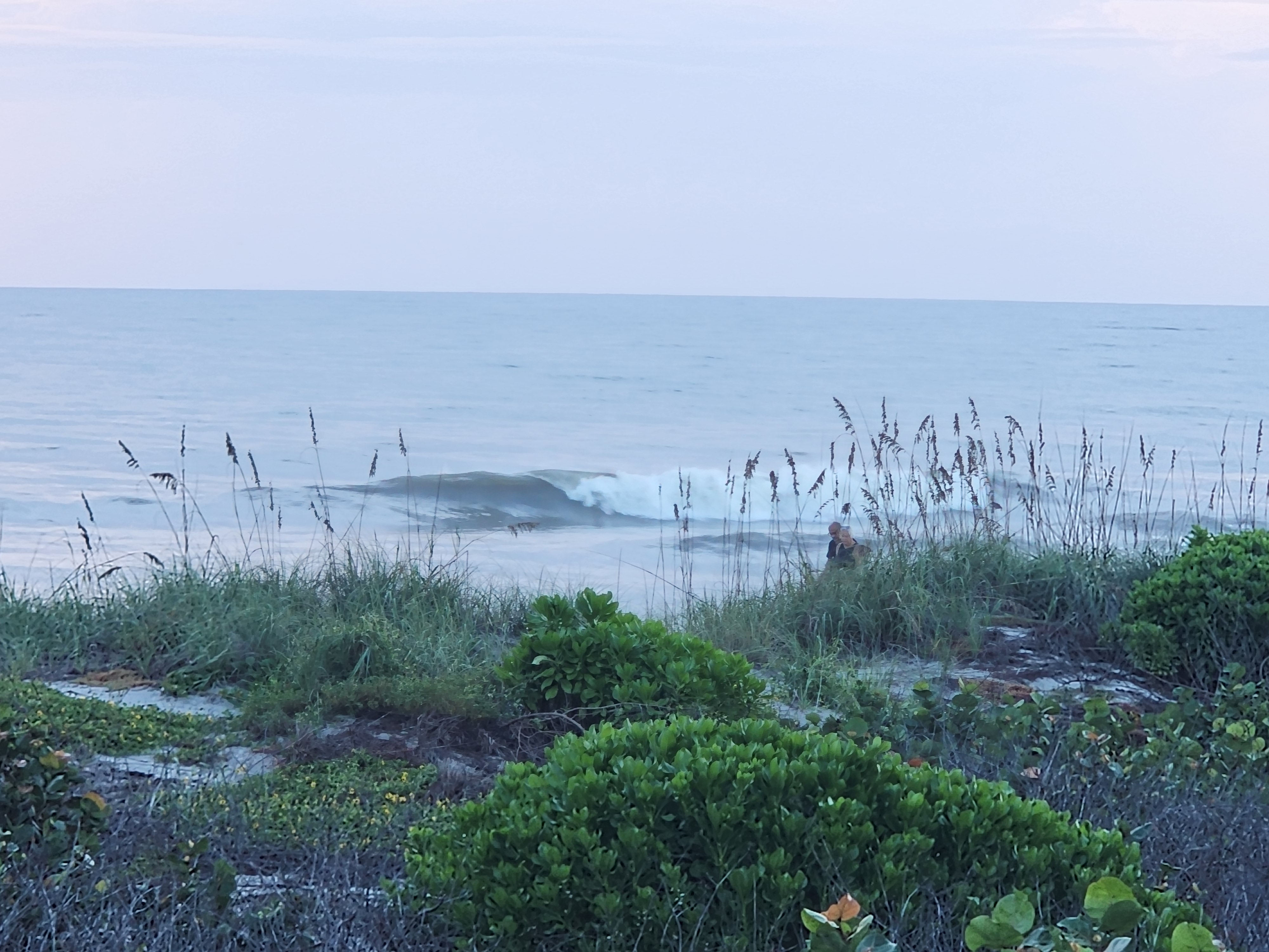 A smooth little wave curling over behind the sea oats while two beachgoers walk the shoreline