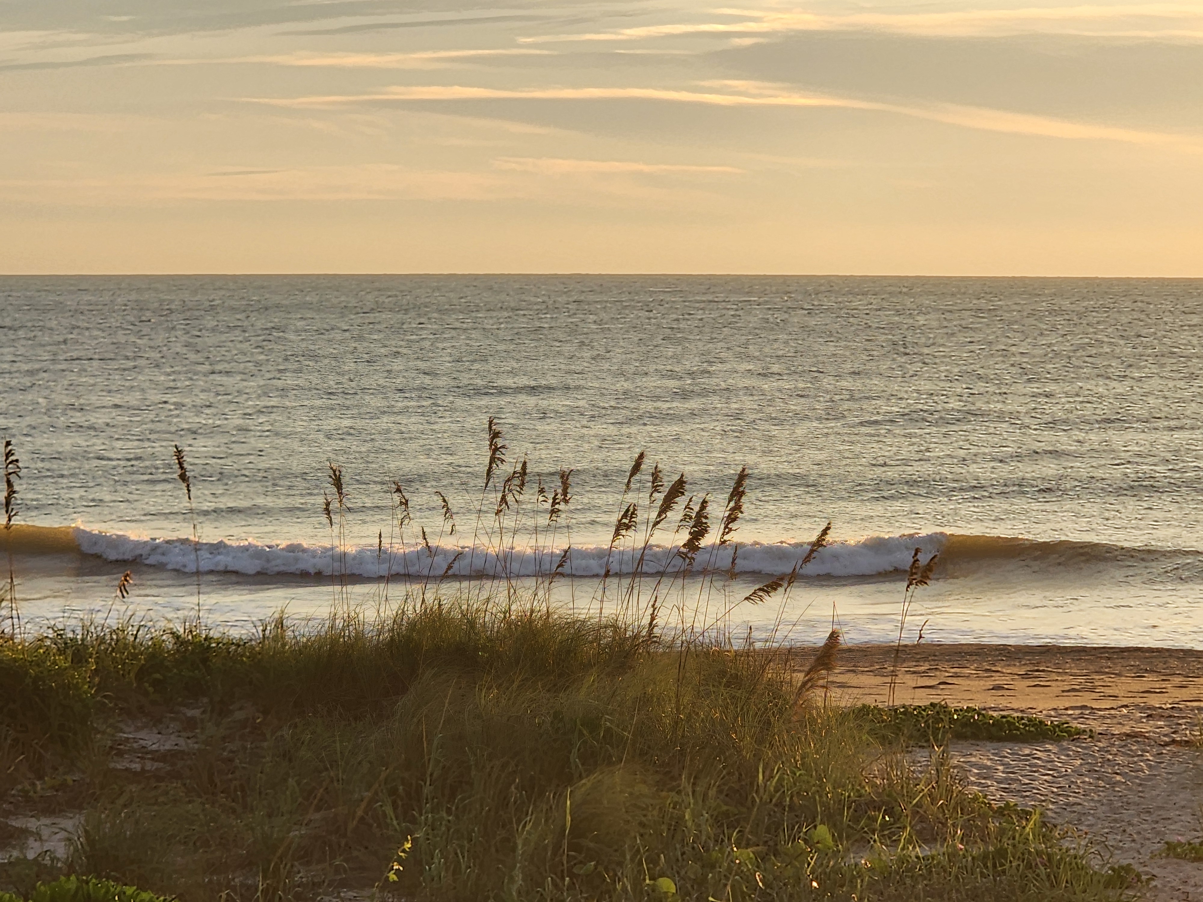 Whitewater spilling along a small wave with sea oats in the foreground and soft gold clouds above