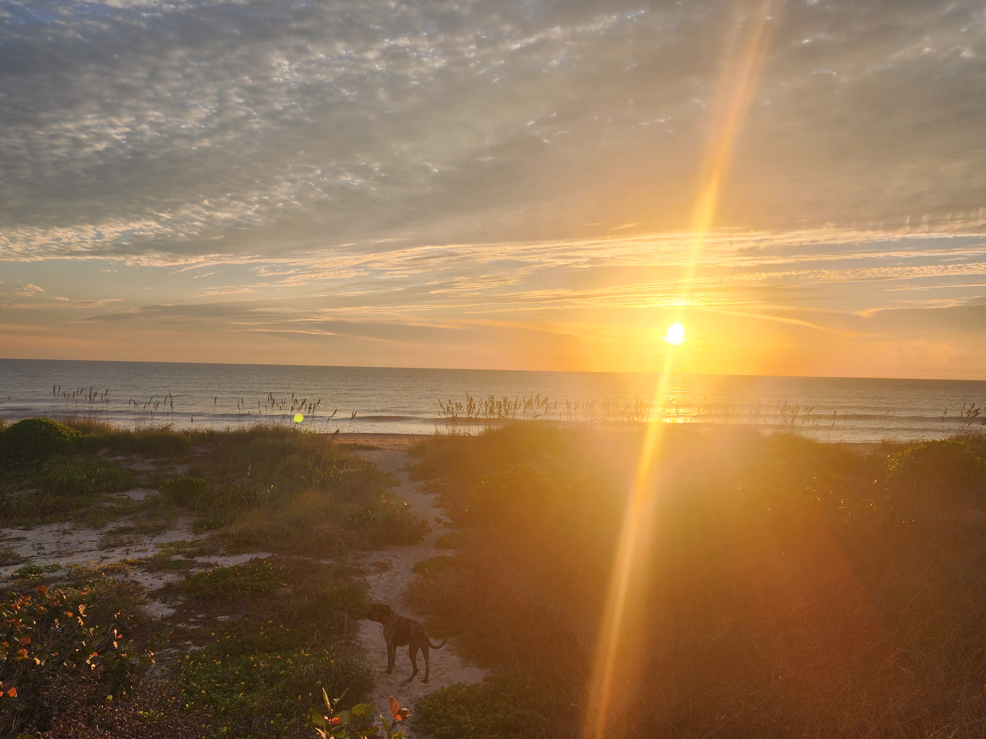 Athena standing on the sandy dune path as the sun rises over the ocean with a bright beam of light
