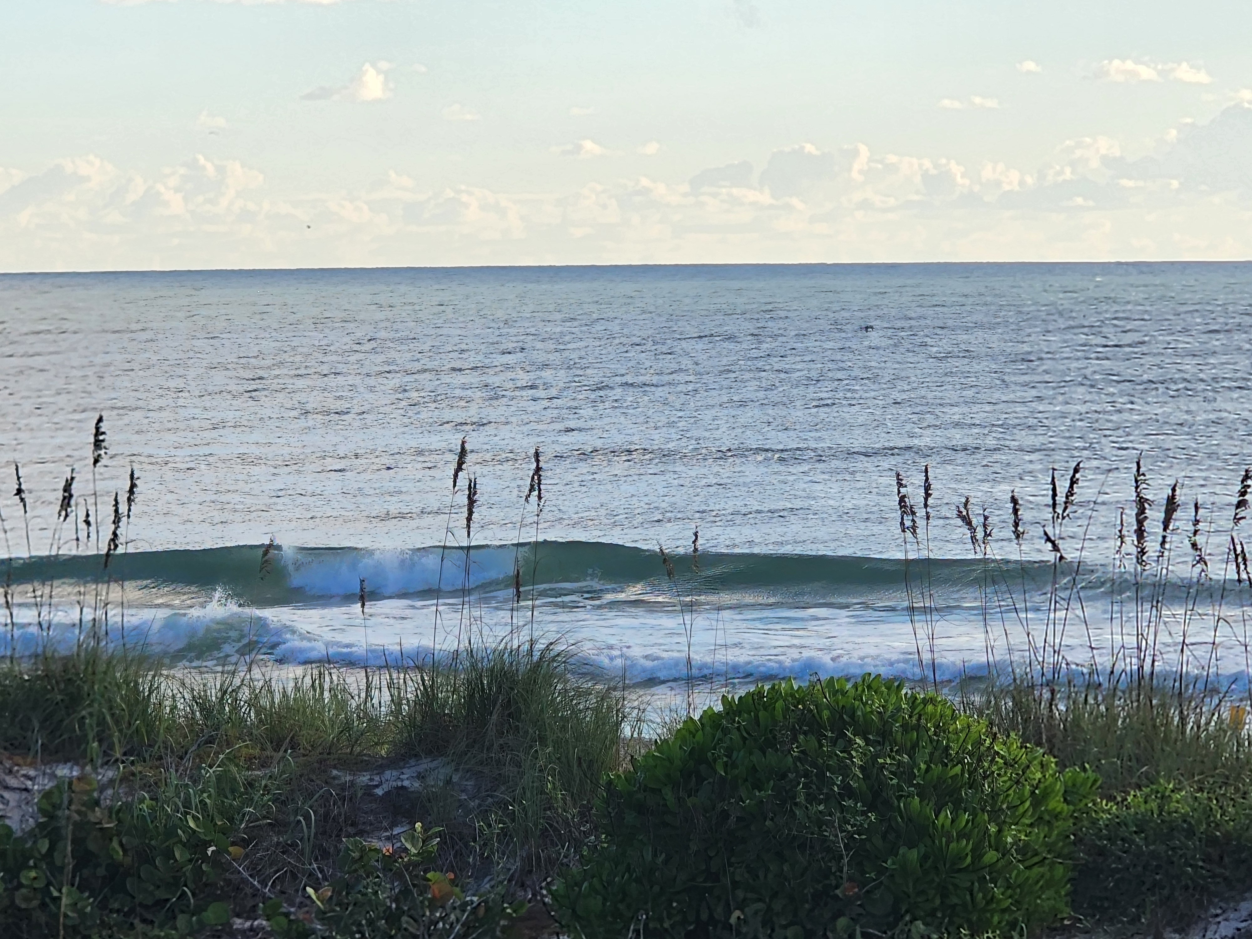 Wide view from the dune crossover with Athena on the sandy path, sea oats framing small lines under a bright sky with towering clouds