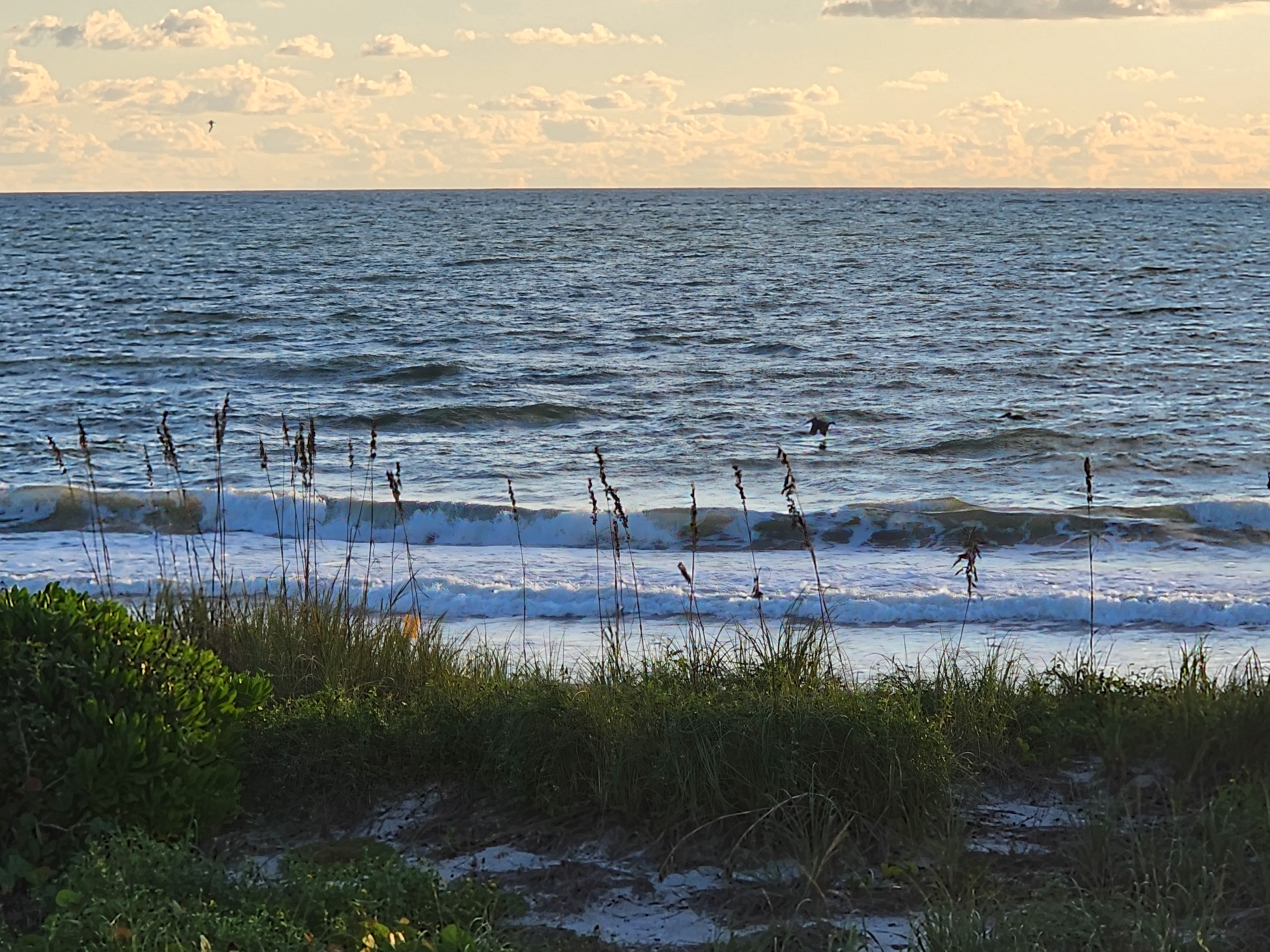 Small waves breaking through sea oats under a pale golden sky, with pelicans gliding low over the water