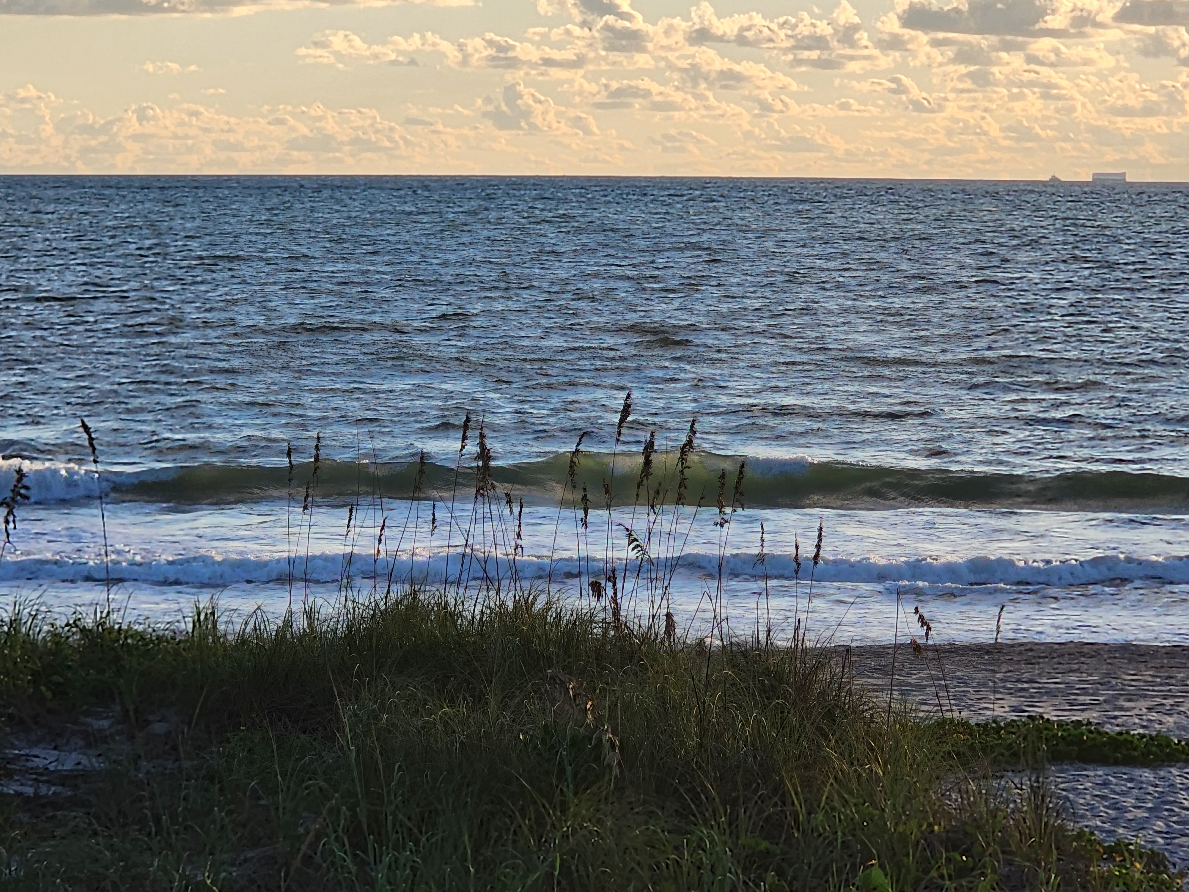Green-tinged wave peeling behind silhouetted sea oats, with a ship visible on the far horizon