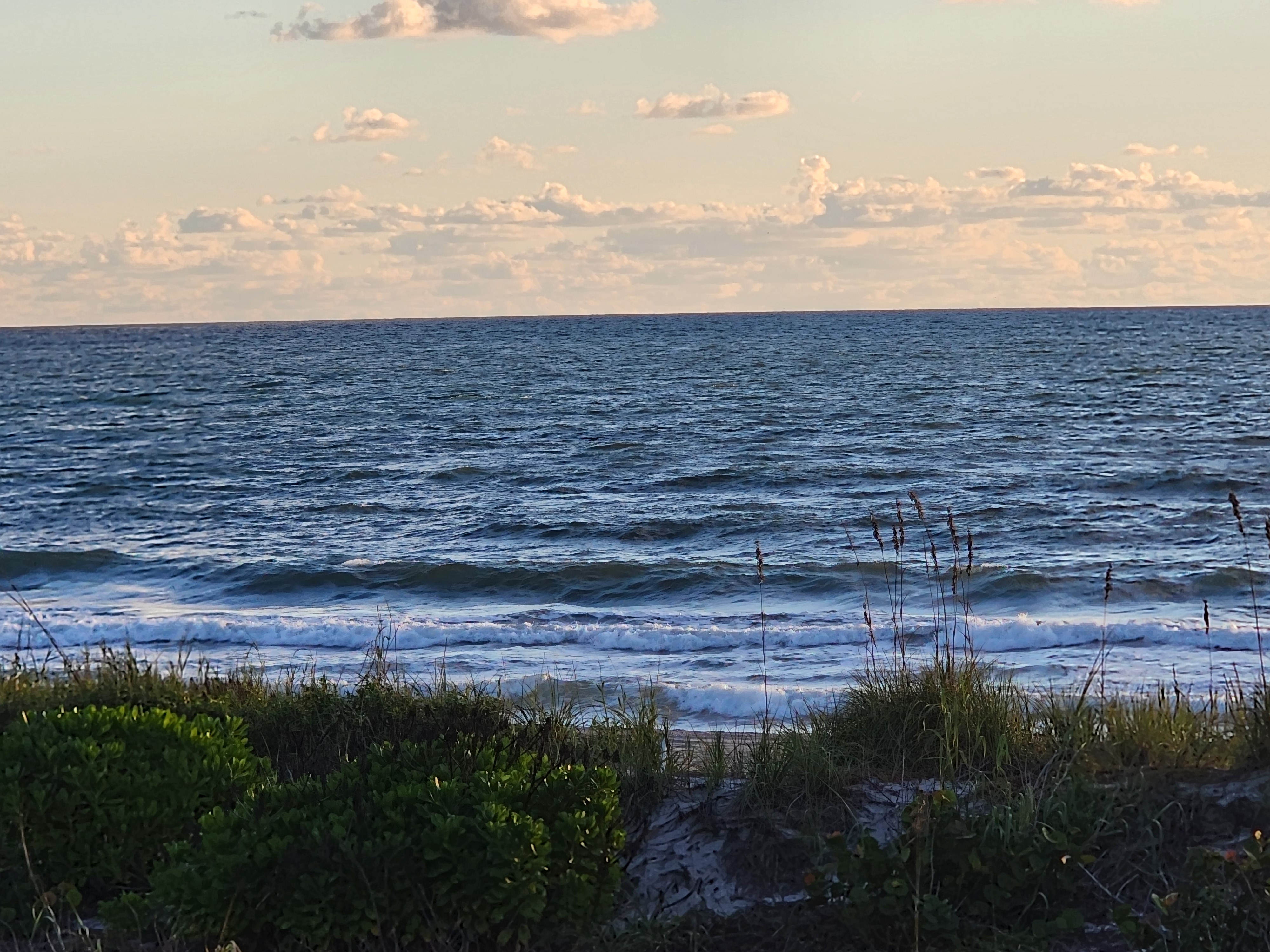 Choppy wind-blown ocean with small broken waves rolling to shore beyond the dune grass
